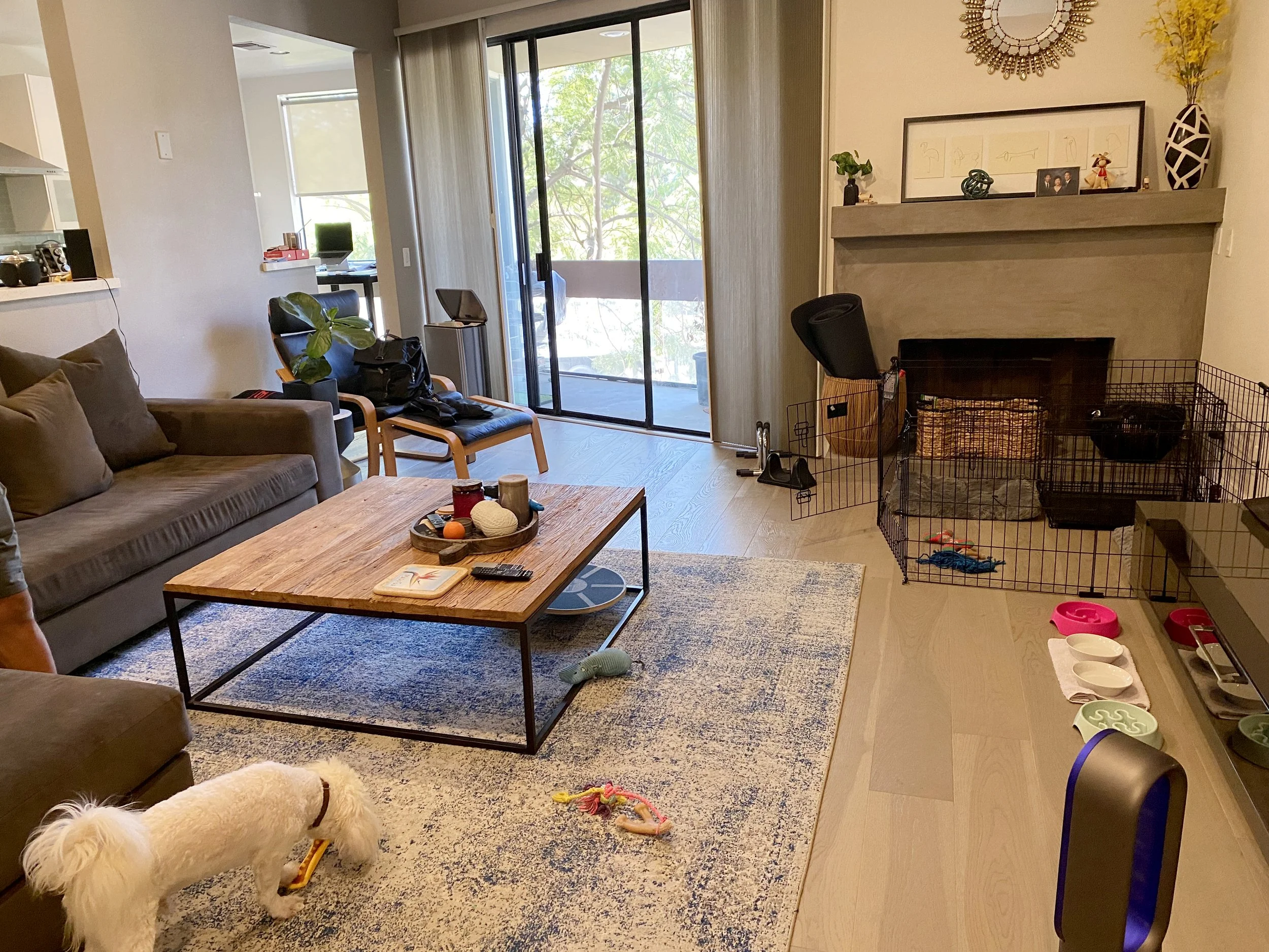 A living room with a gray couch, a wooden coffee table with toys and objects, a black chair with a houseplant, a sliding glass door leading to a balcony with trees outside, a fireplace decorated with framed artwork, vases, and a photo. There is also a pet playpen with toys and bowls, and a small window with a desk and computer.
