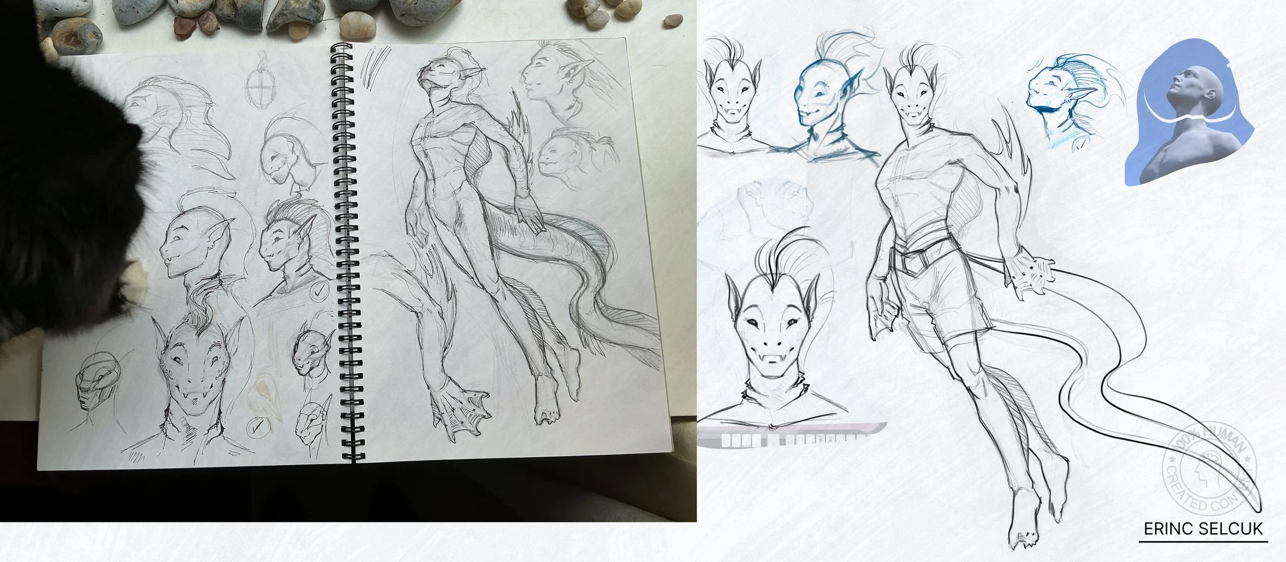 Sketches of a fantasy character inspired by elves and dragons, featuring a humanoid with elven ears, a tail, and a sword. Some sketches are detailed character illustrations while others are quick concept drawings. A photograph of a woman with an upwa