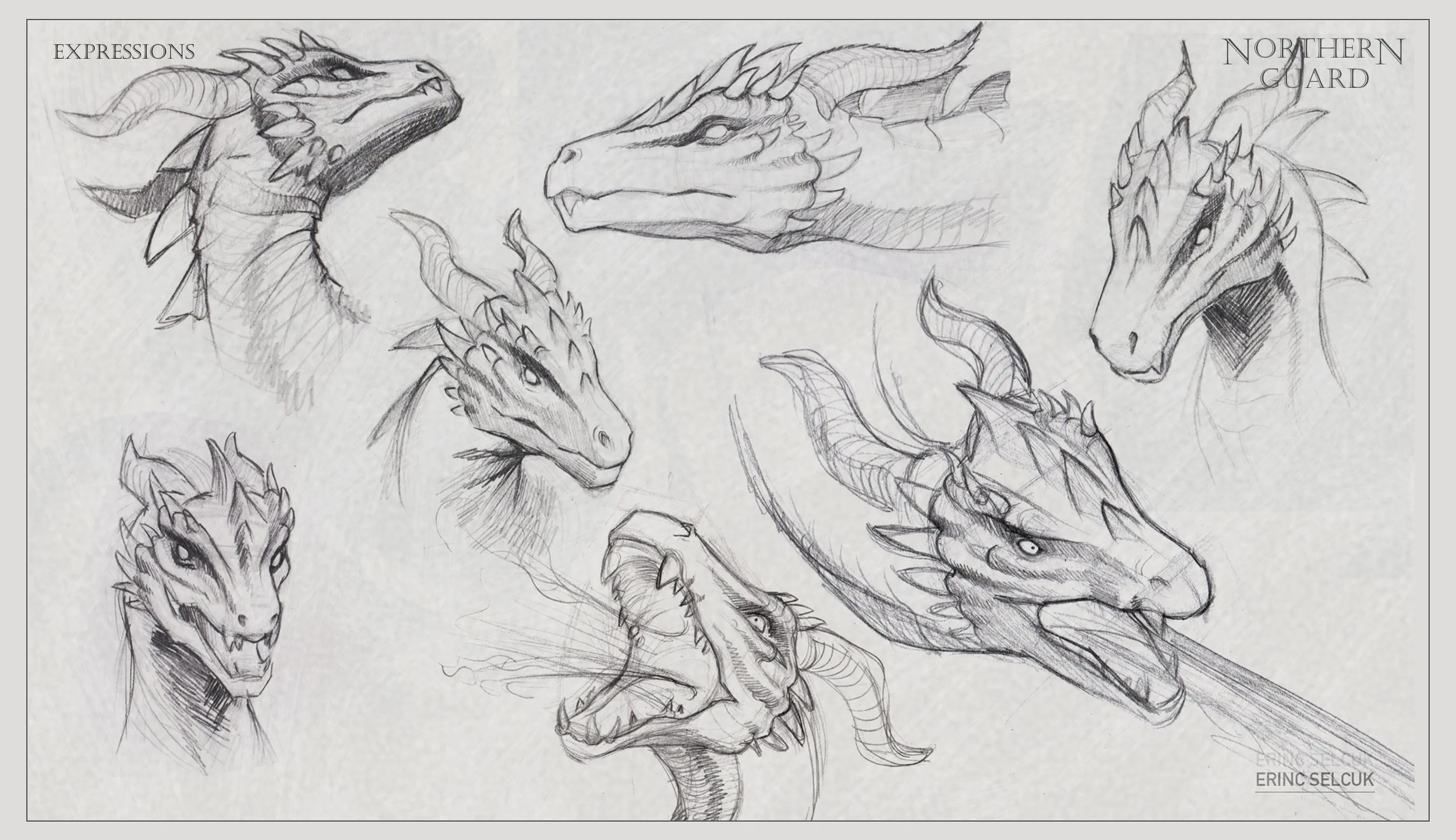 Sketches of various dragon heads and upper bodies in different angles and expressions, detailed with scales, horns, and sharp features, labeled 'Expressions' and 'Northern Guard'.
