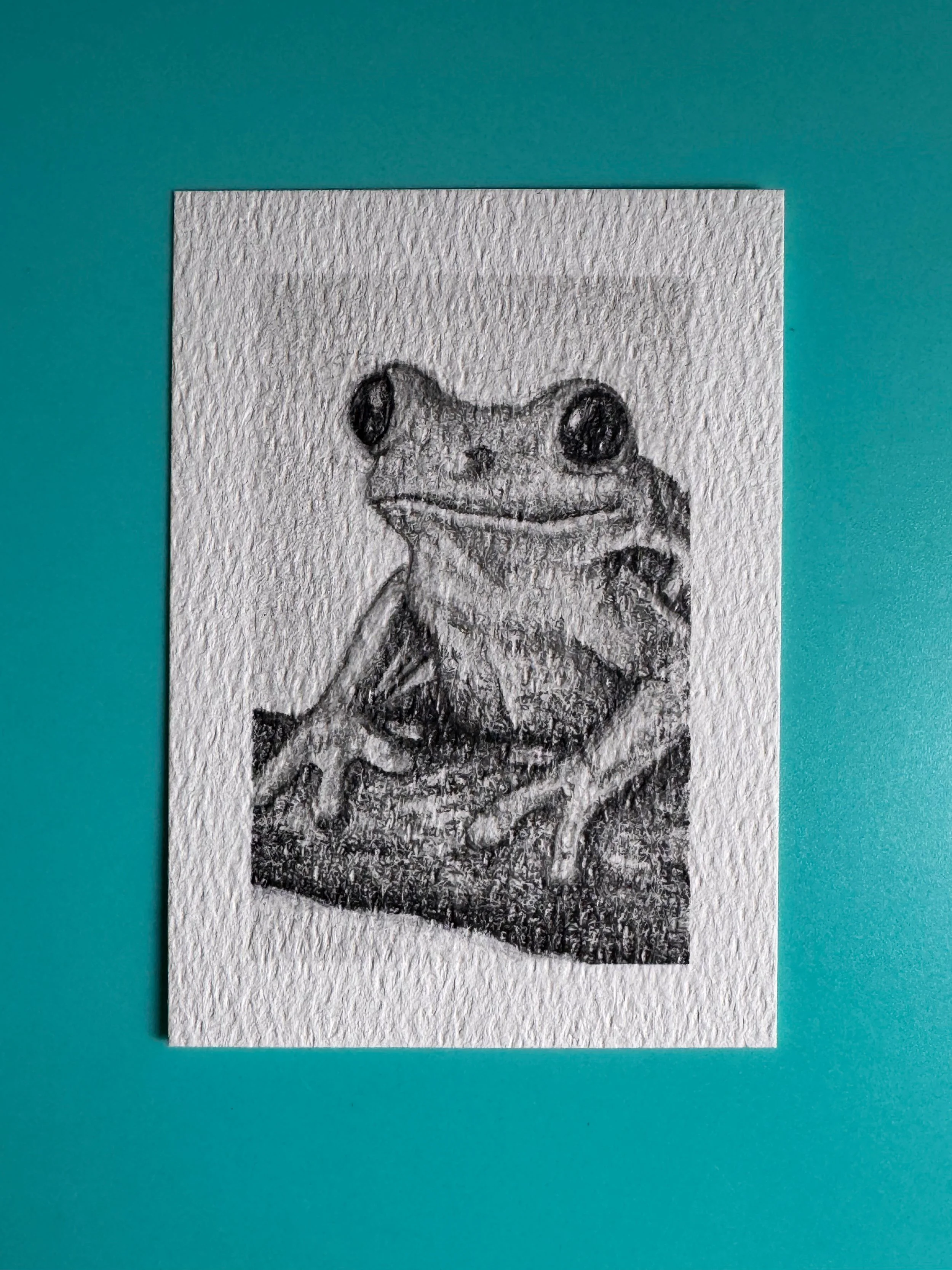 "Feeling Froggie" Original