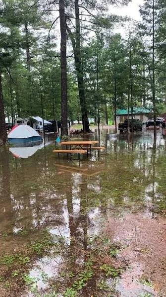 Avoid the Gaylord Area Michigan State Police say after tornado touchdown