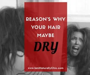 REASON'S WHY YOUR HAIR MAYBE DRY