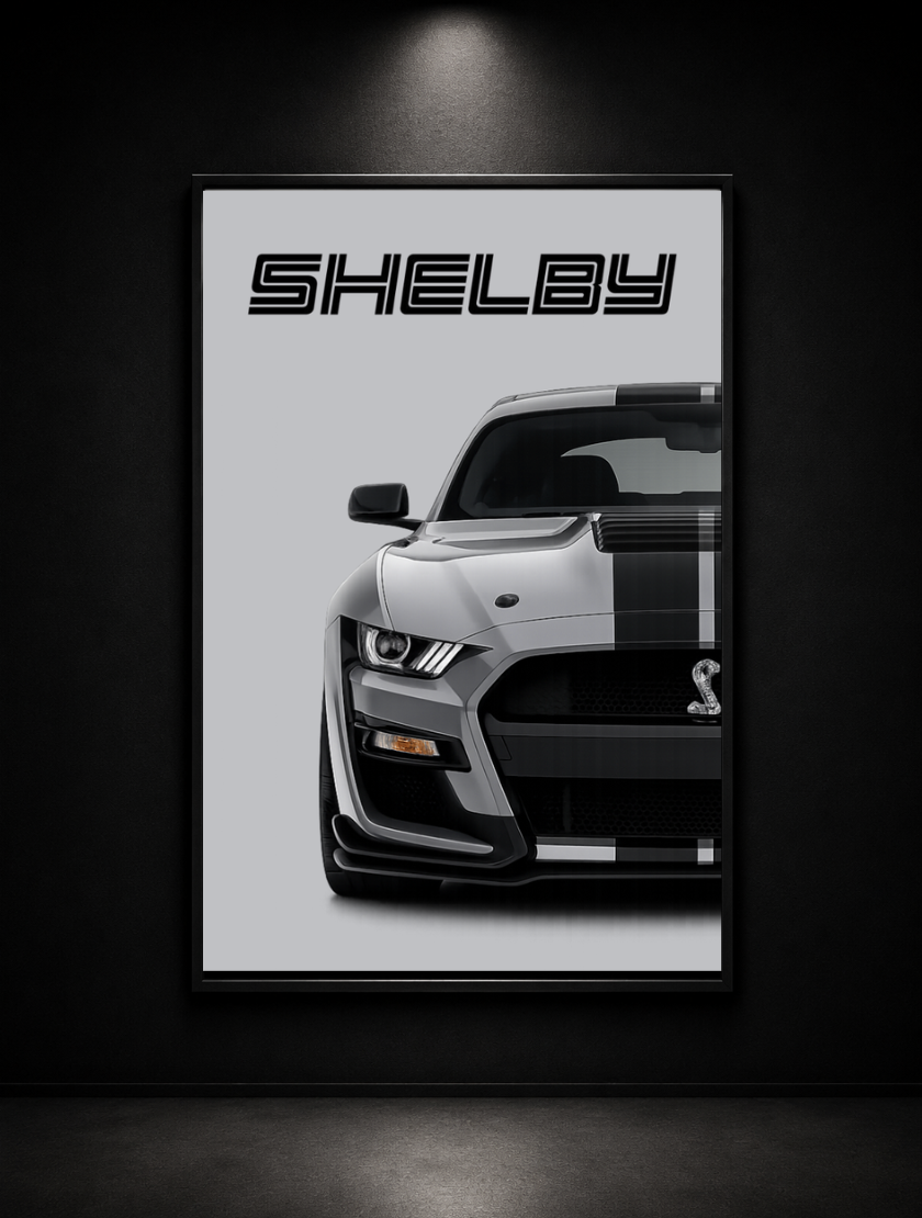 collection Auto - Shelby