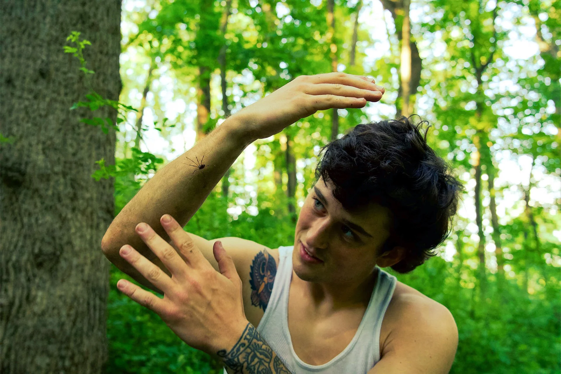 A person with tattoos on their arm and chest, with short curly dark hair, is outdoors reaching toward a tree in a green forest. There is a spider on their arm.