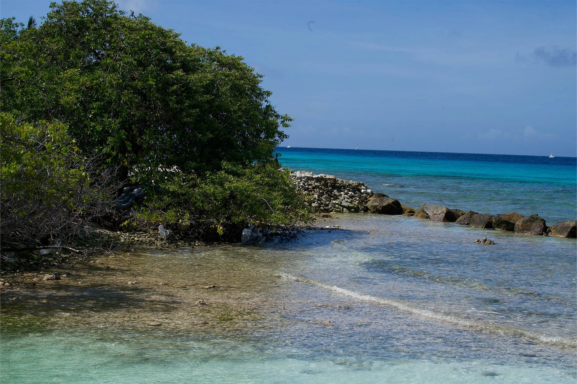A beach with clear shallow water, rocks along the shoreline, lush green trees on the left, and the ocean extending to the horizon with a few boats visible in the distance.