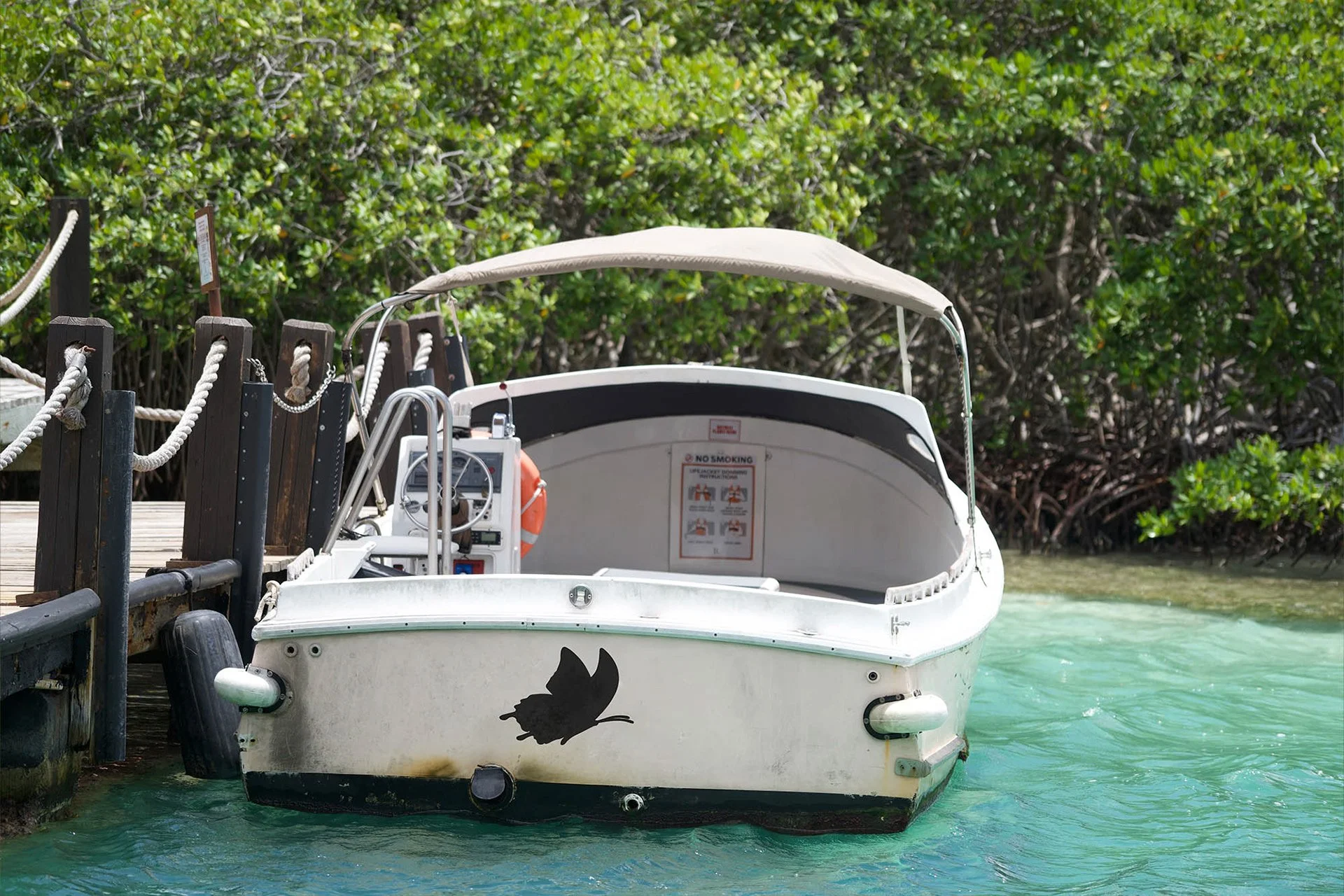 A white boat with a black logo of a cat silhouette is docked at a wooden pier with a rope fence. The boat is in clear, turquoise water near lush green mangroves.