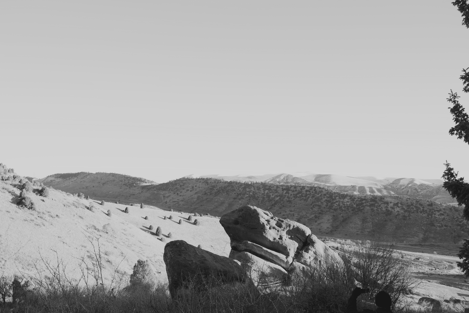 Black and white landscape of rolling hills with sparse vegetation, rocks in the foreground, and a clear sky.