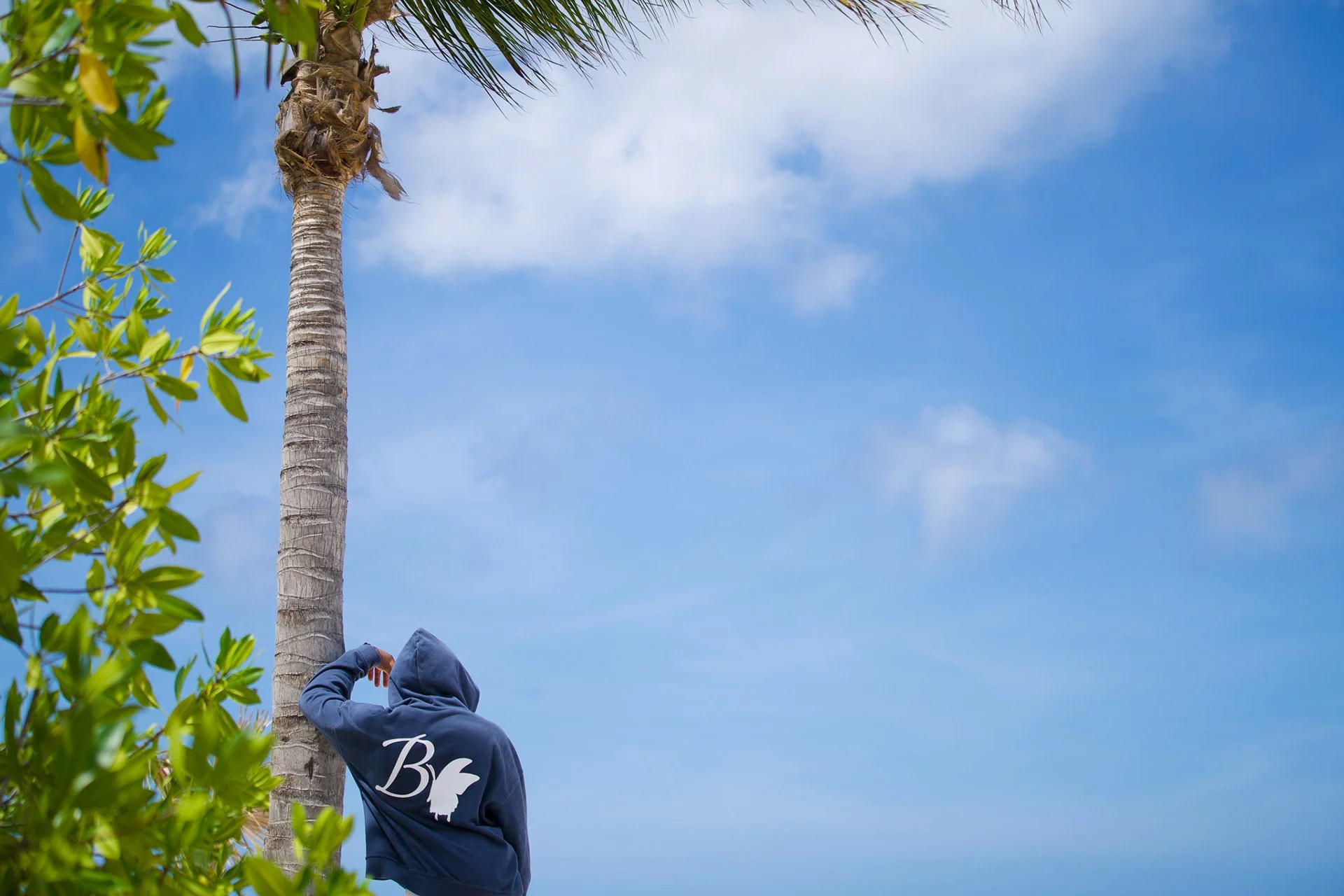 Person in a hoodie taking a photo of a tall palm tree against a blue sky with white clouds, with green foliage in the foreground.