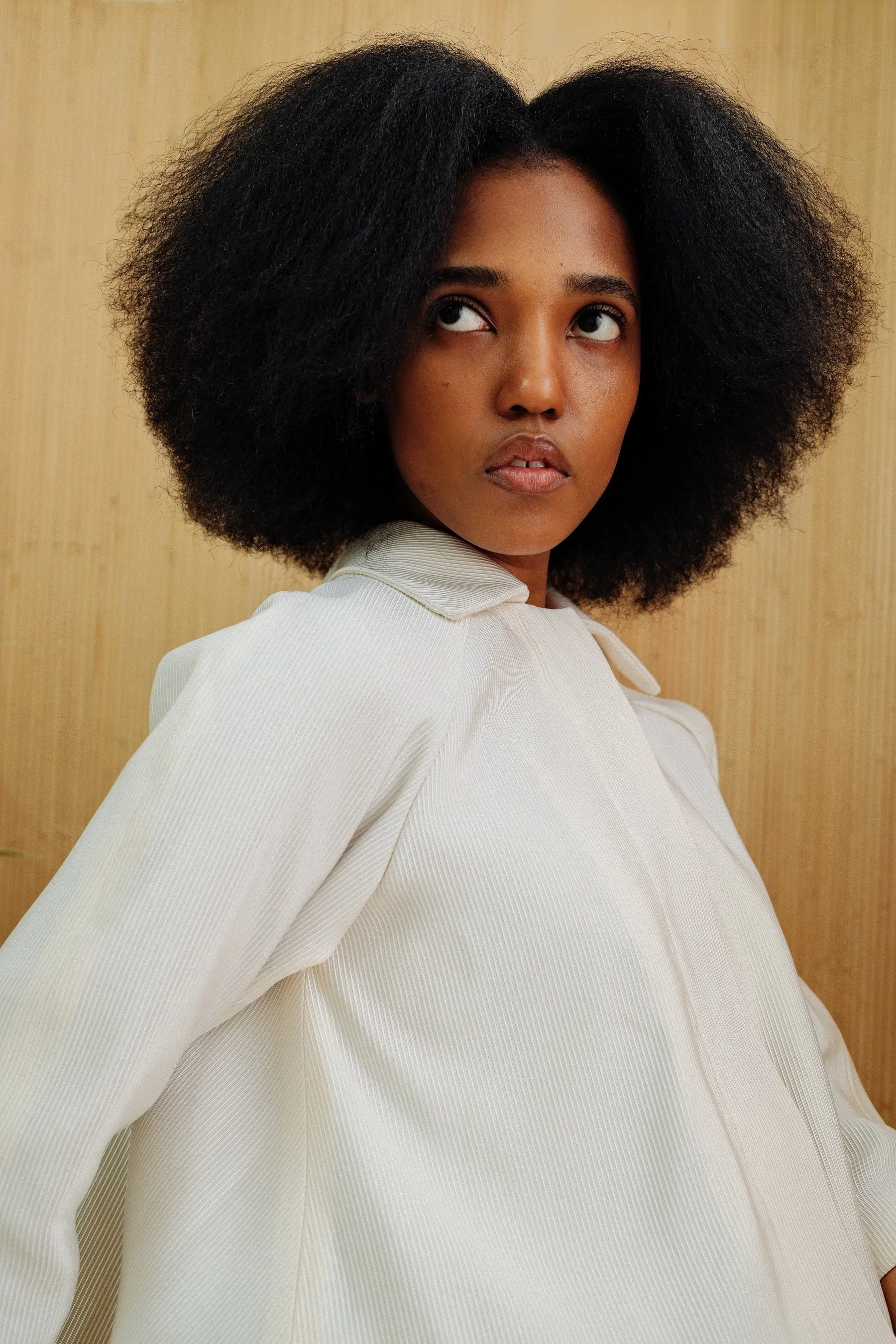 Portrait of a woman with voluminous natural black hair, wearing a cream-colored blouse, against a plain beige background.