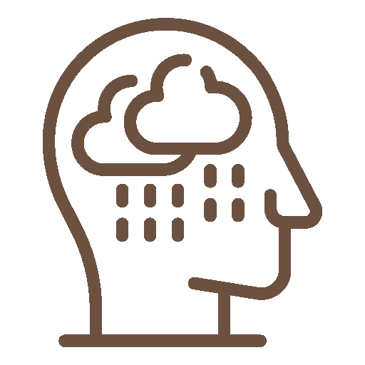 Icon of a person's head with a cloud and rain inside the brain area, representing mental health or mood.