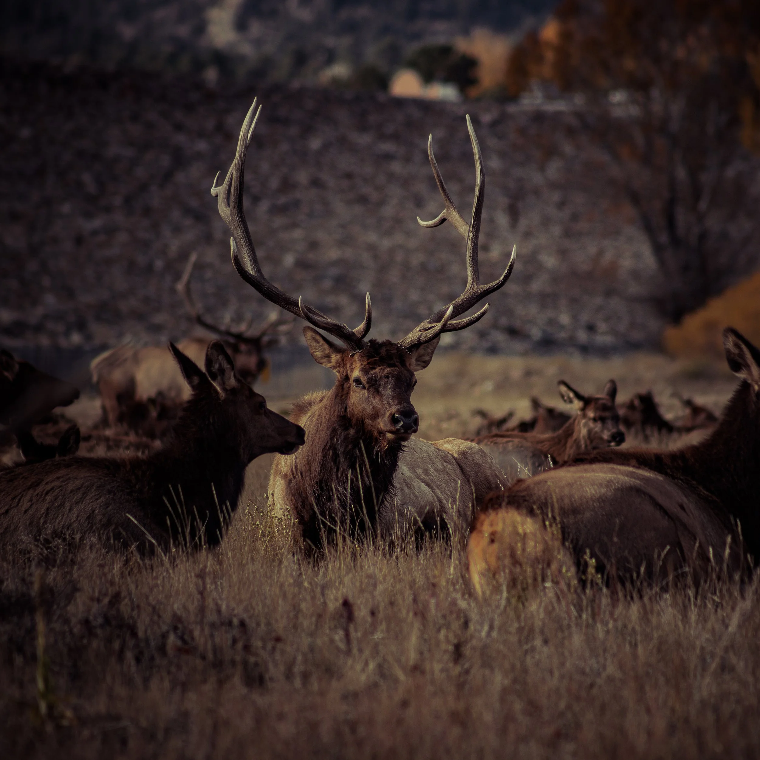 RMNP2024-8.jpeg