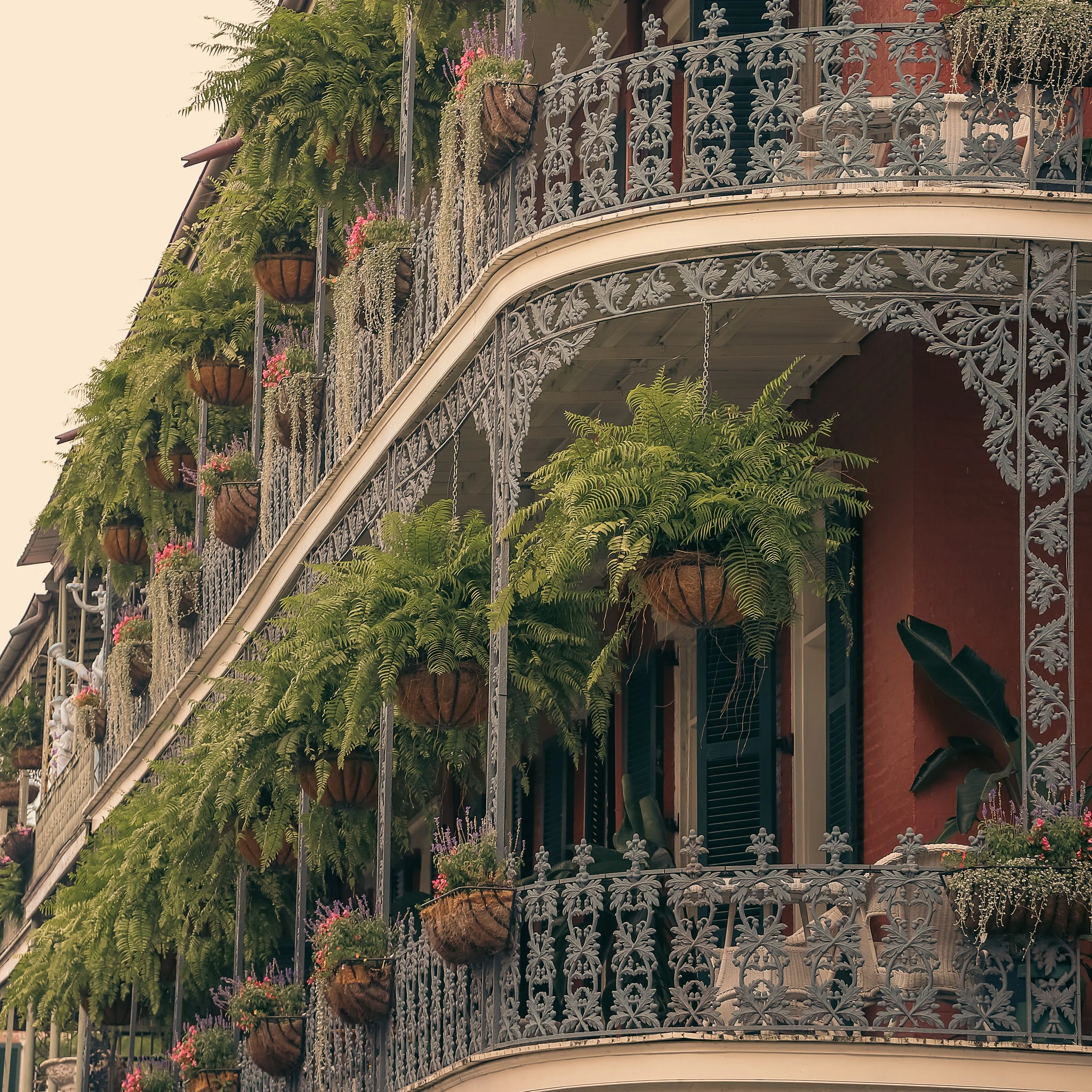 NOLA -4.jpeg