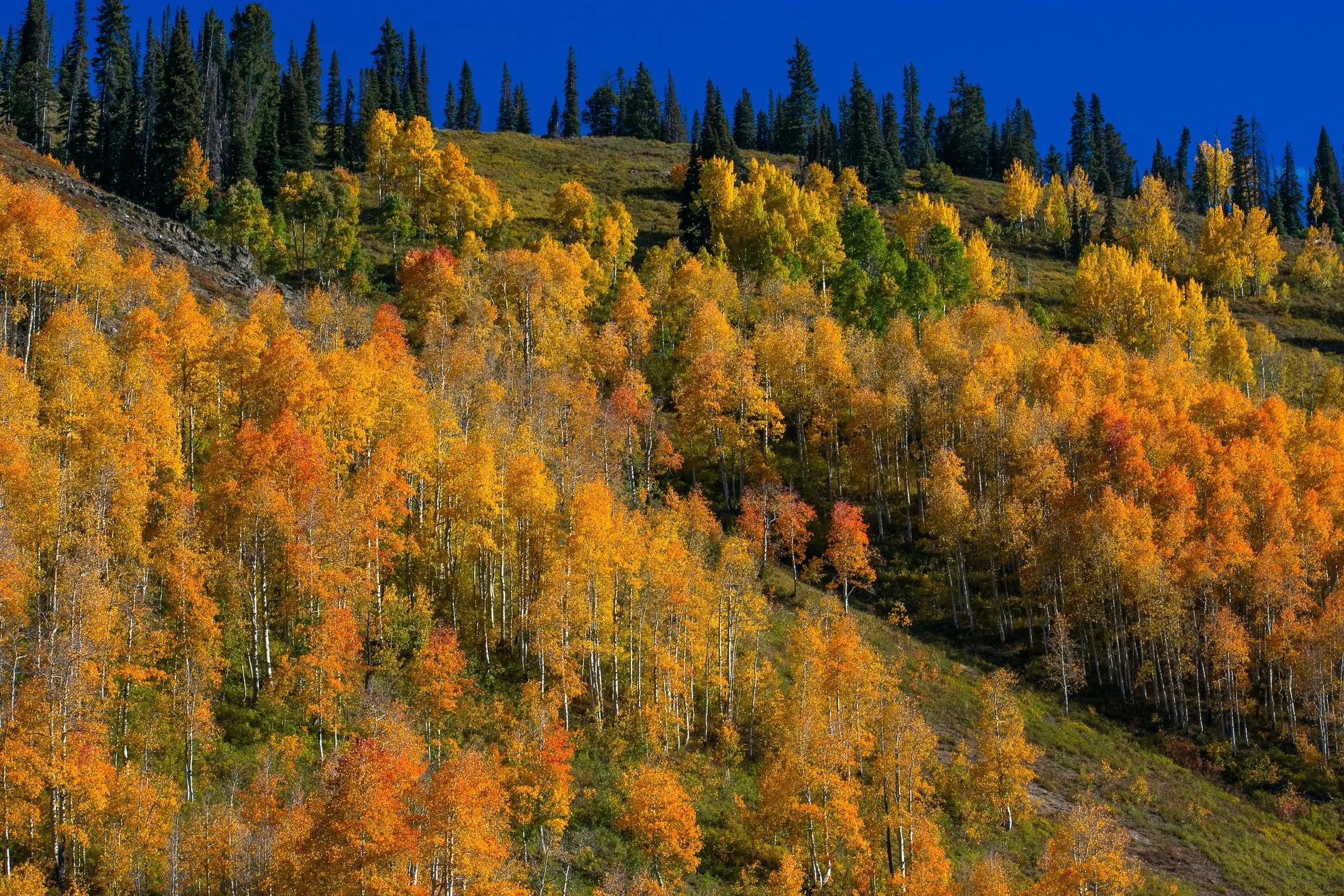 Crested Butte-2.jpeg