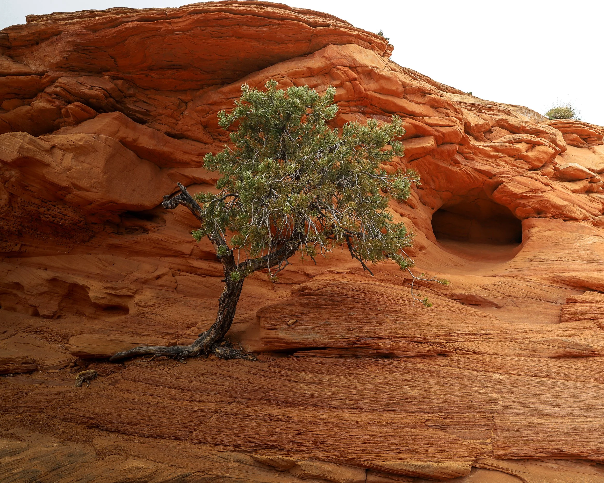 Canyonlands-3.jpeg