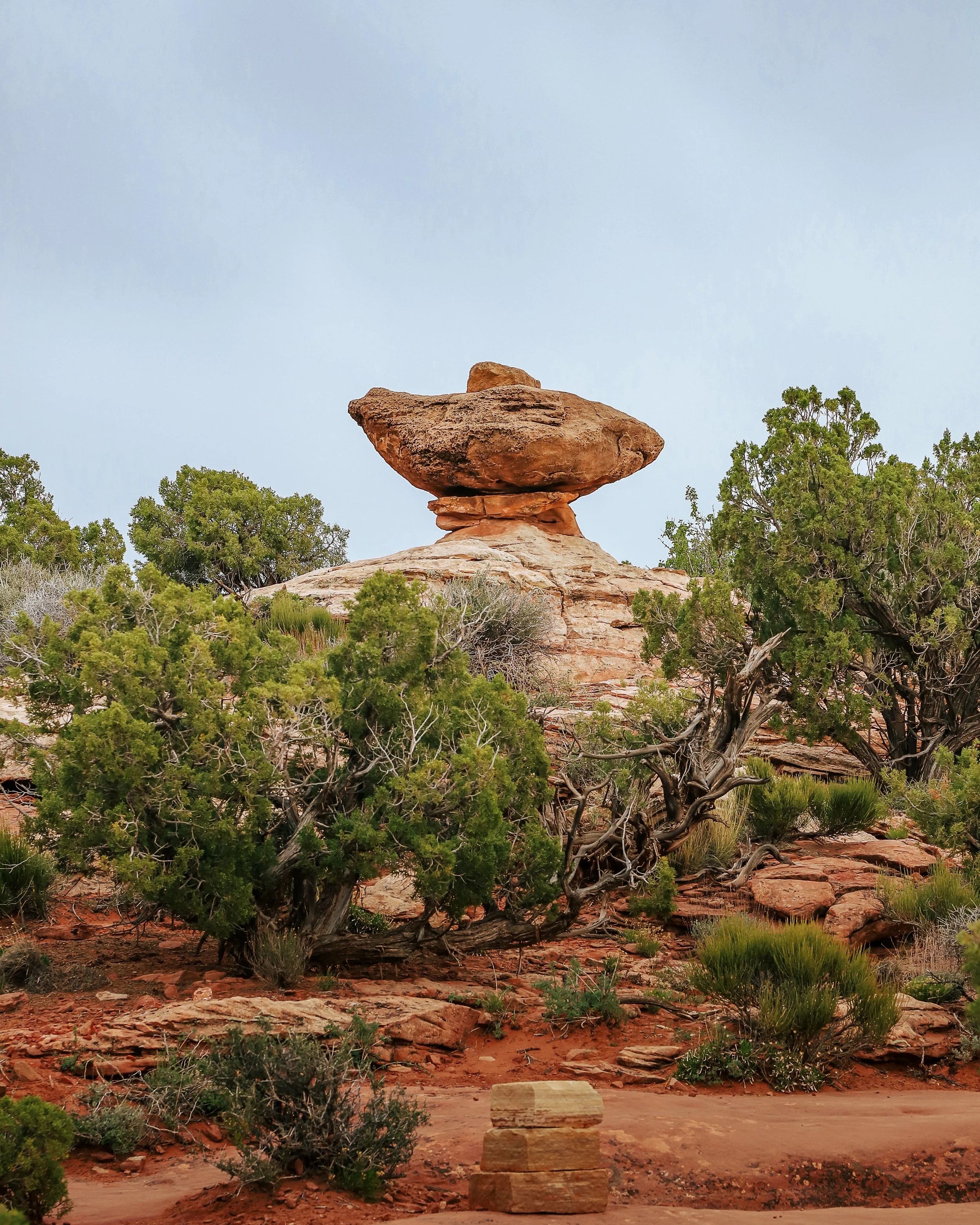 Canyonlands-18.jpeg
