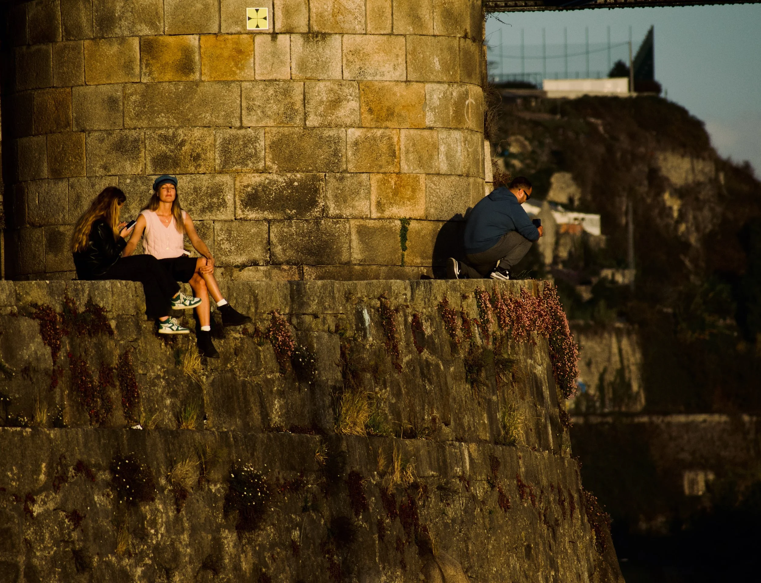 _DSC0435.jpeg