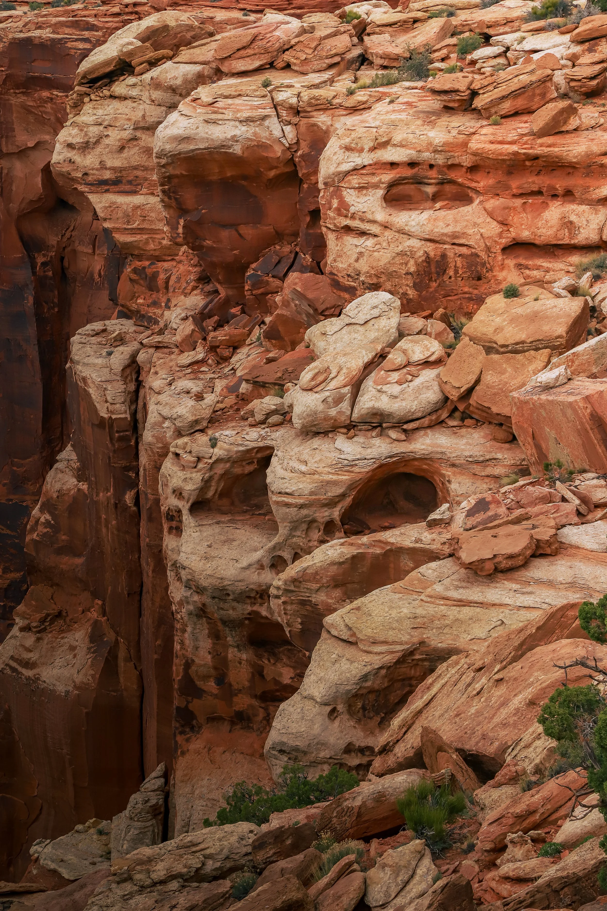 Canyonlands-8.jpeg