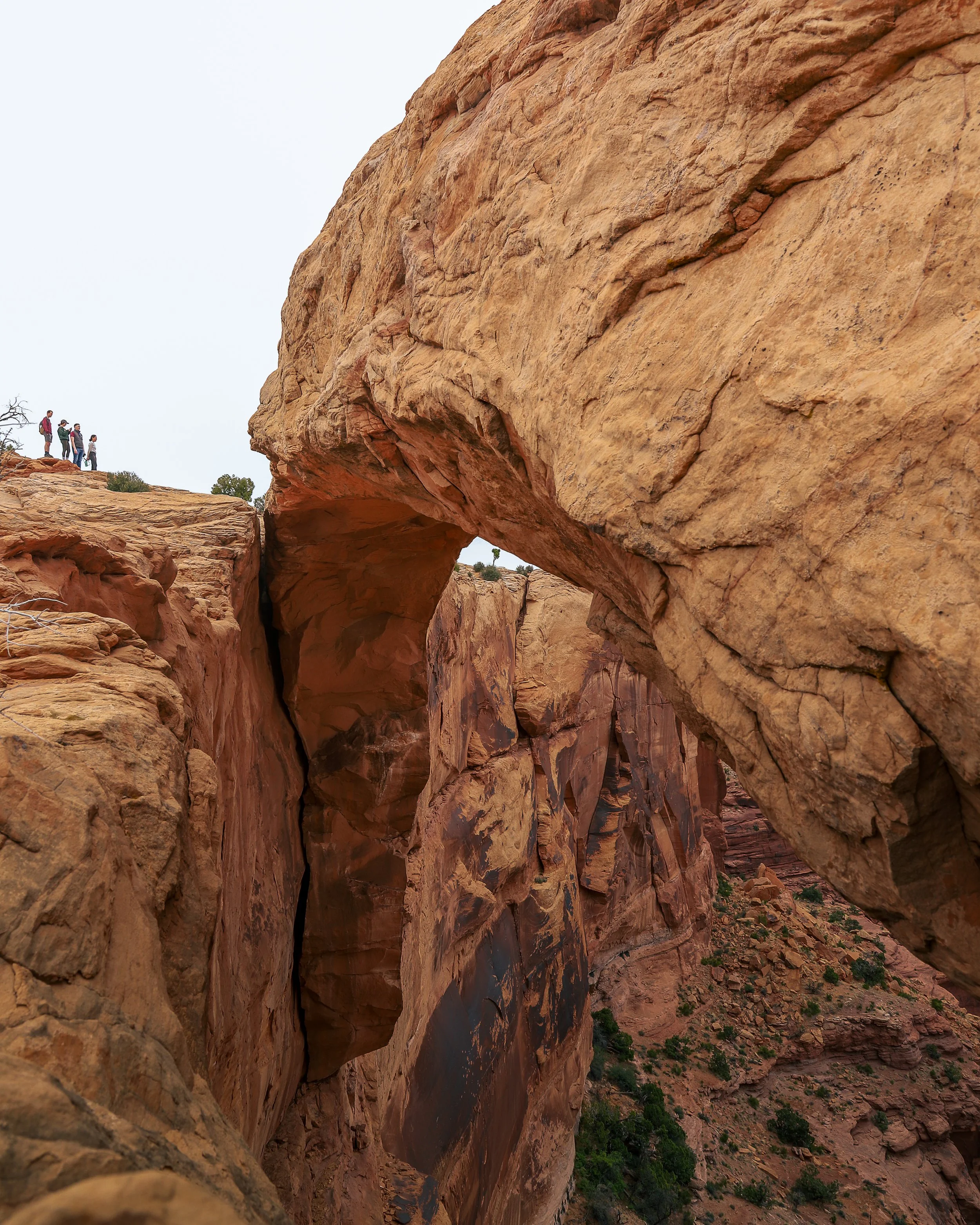 Canyonlands-12.jpeg