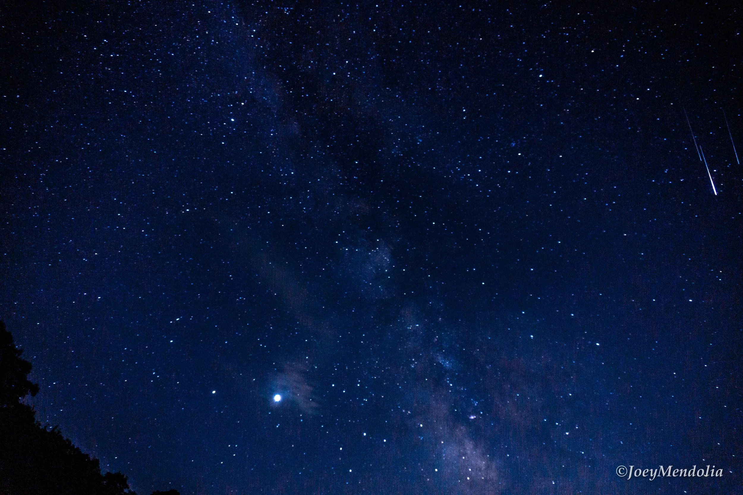 Neowise-3.jpeg