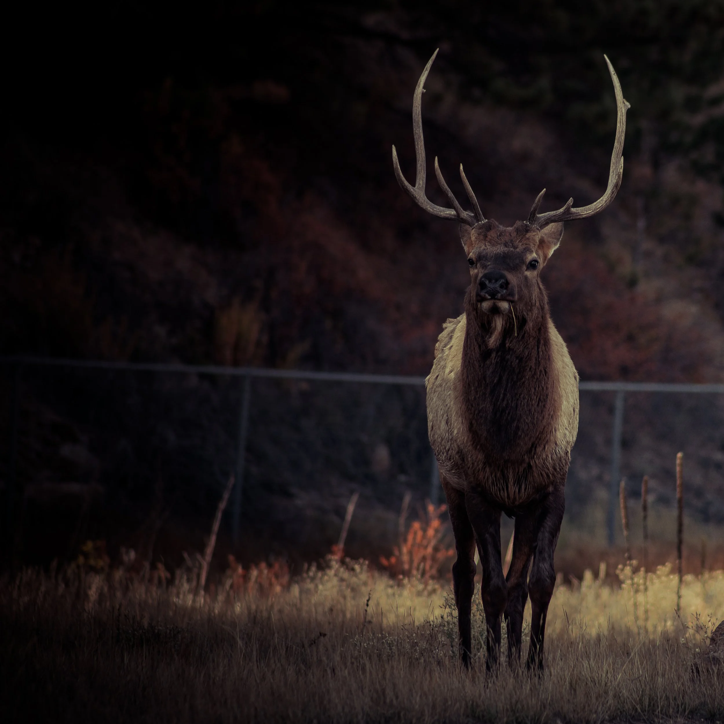 RMNP2024-5.jpeg