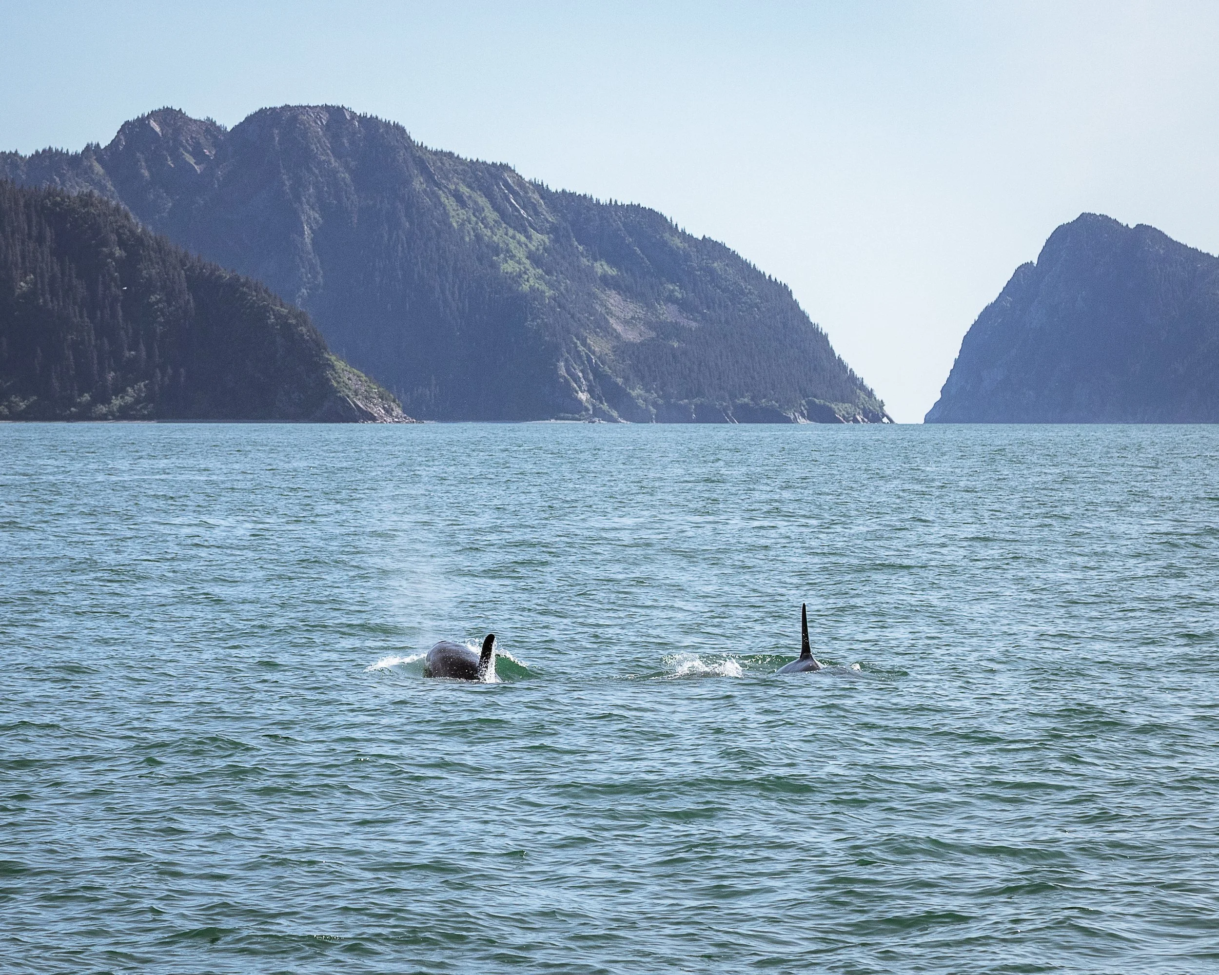 Seward-28.jpeg