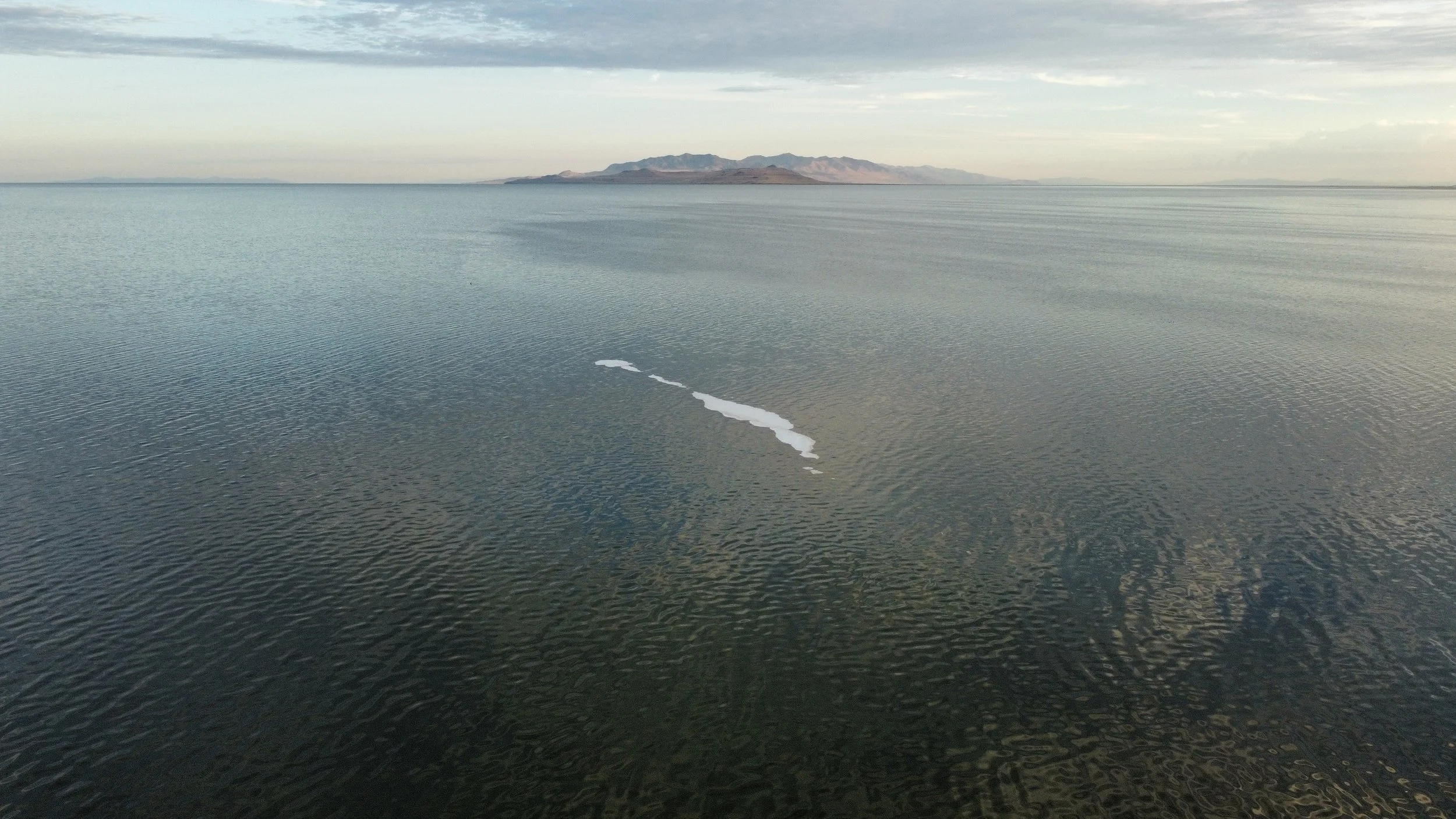 dji_fly_20230720_064114_84_1689856889852_photo_optimized.jpeg