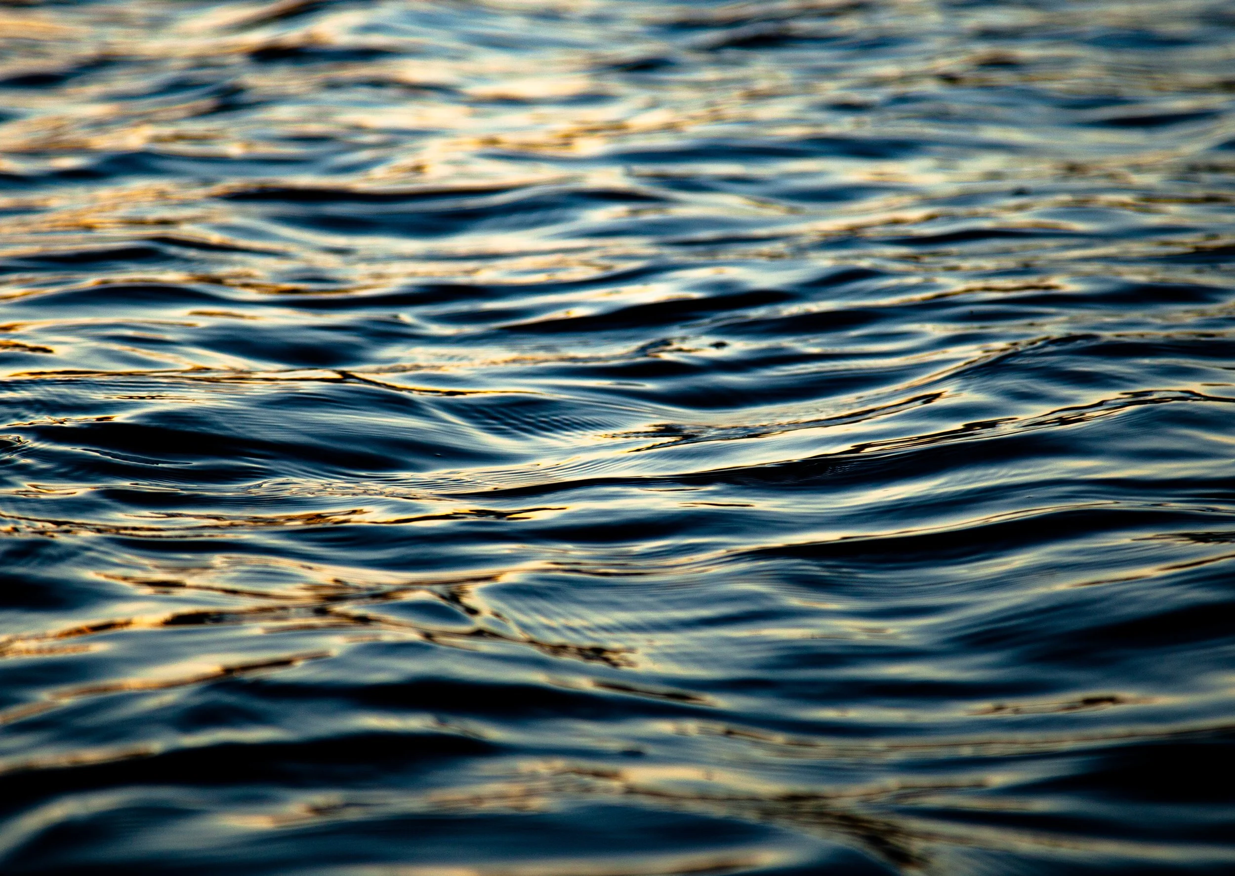 KayakSunset-5.jpeg