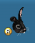 Becky the Black Bunny