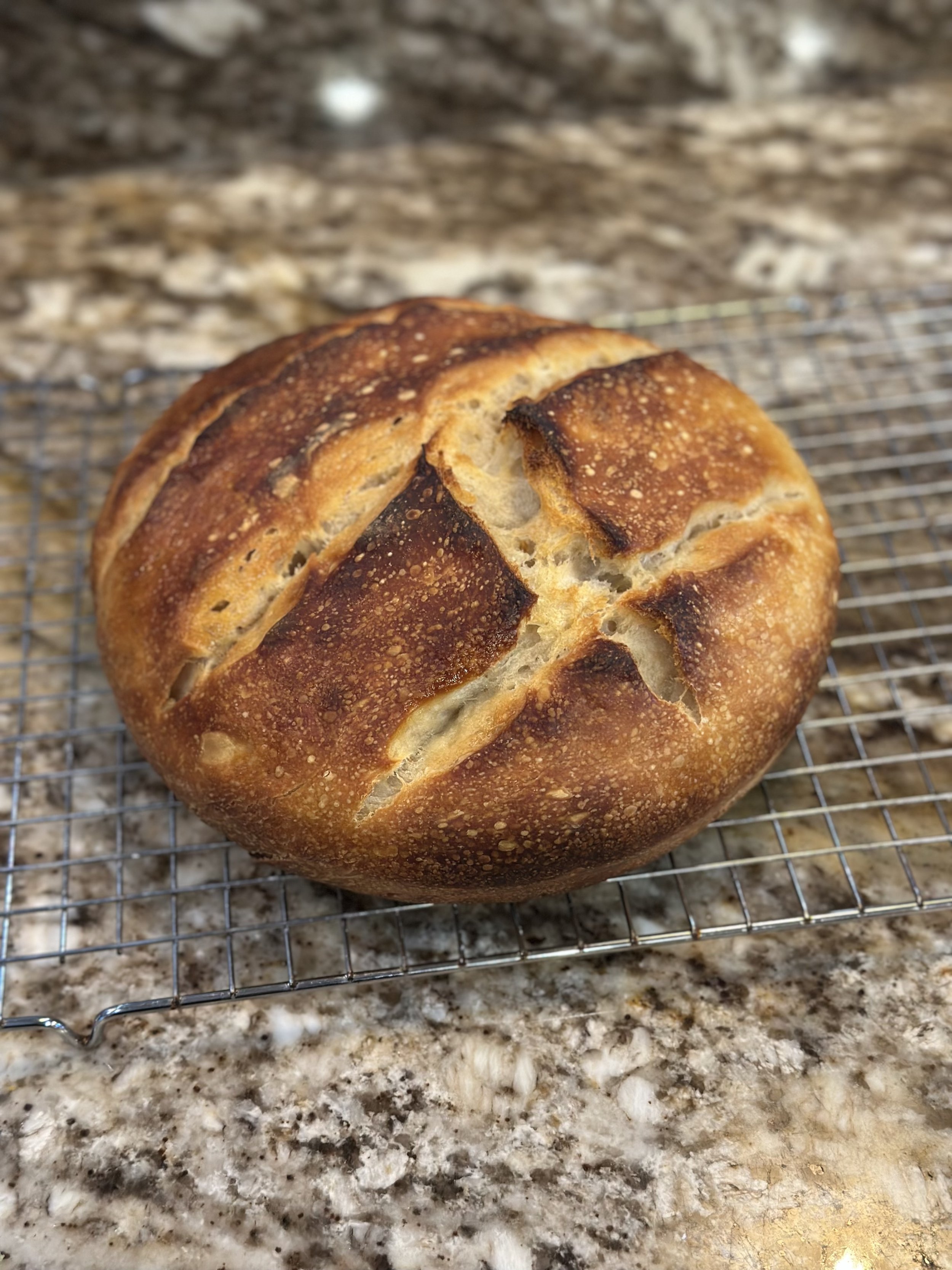 Soughdough Loaf (Lola)