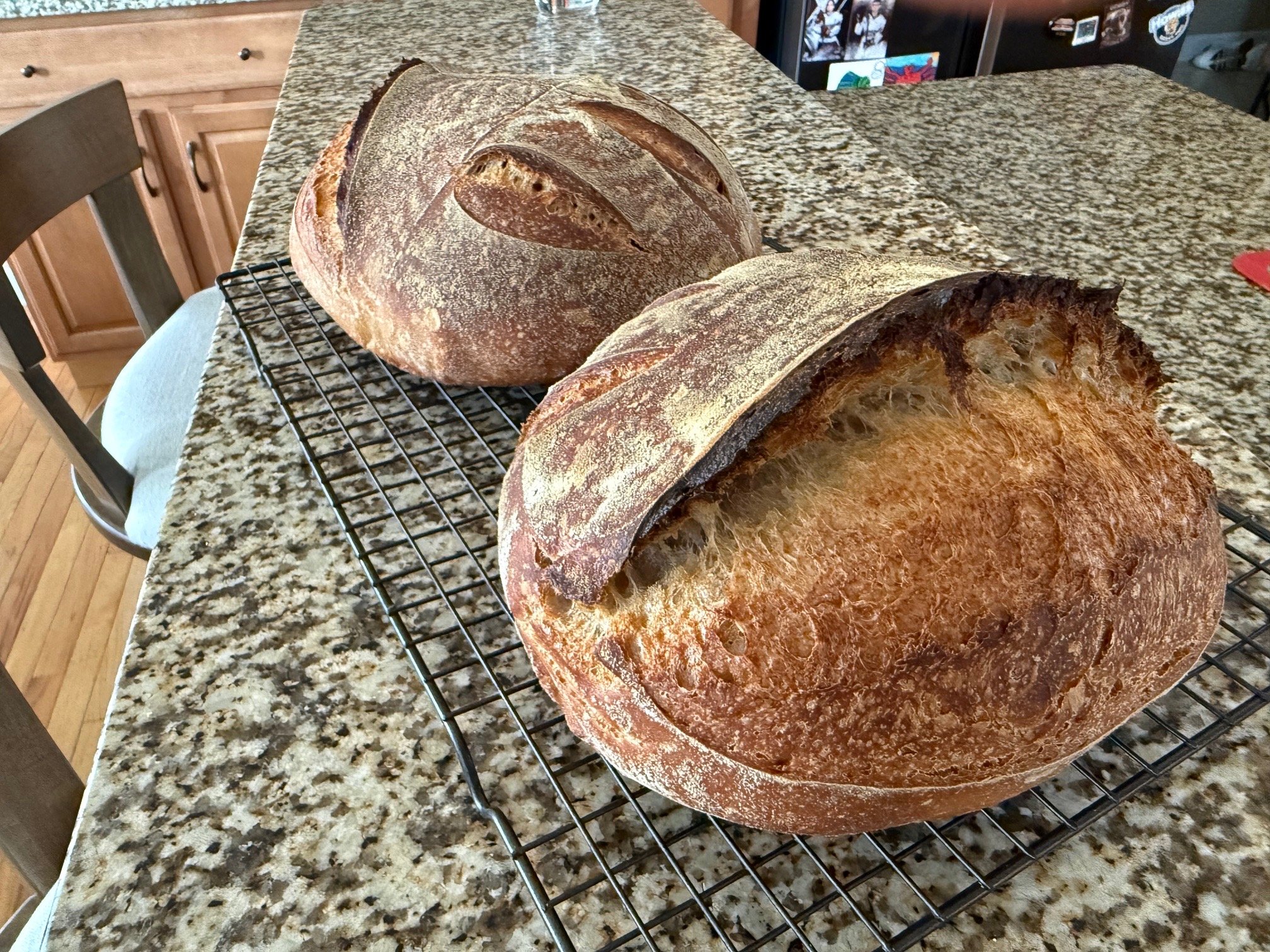 Soughdough Loaf (Cousin)