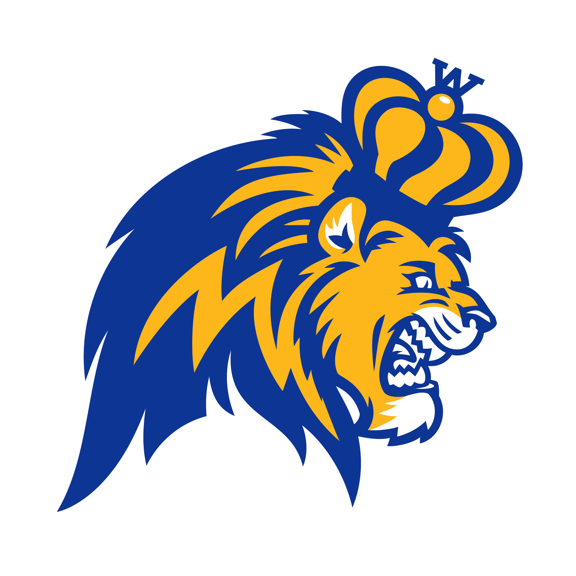 Fall 2026 Boys Basketball Camp