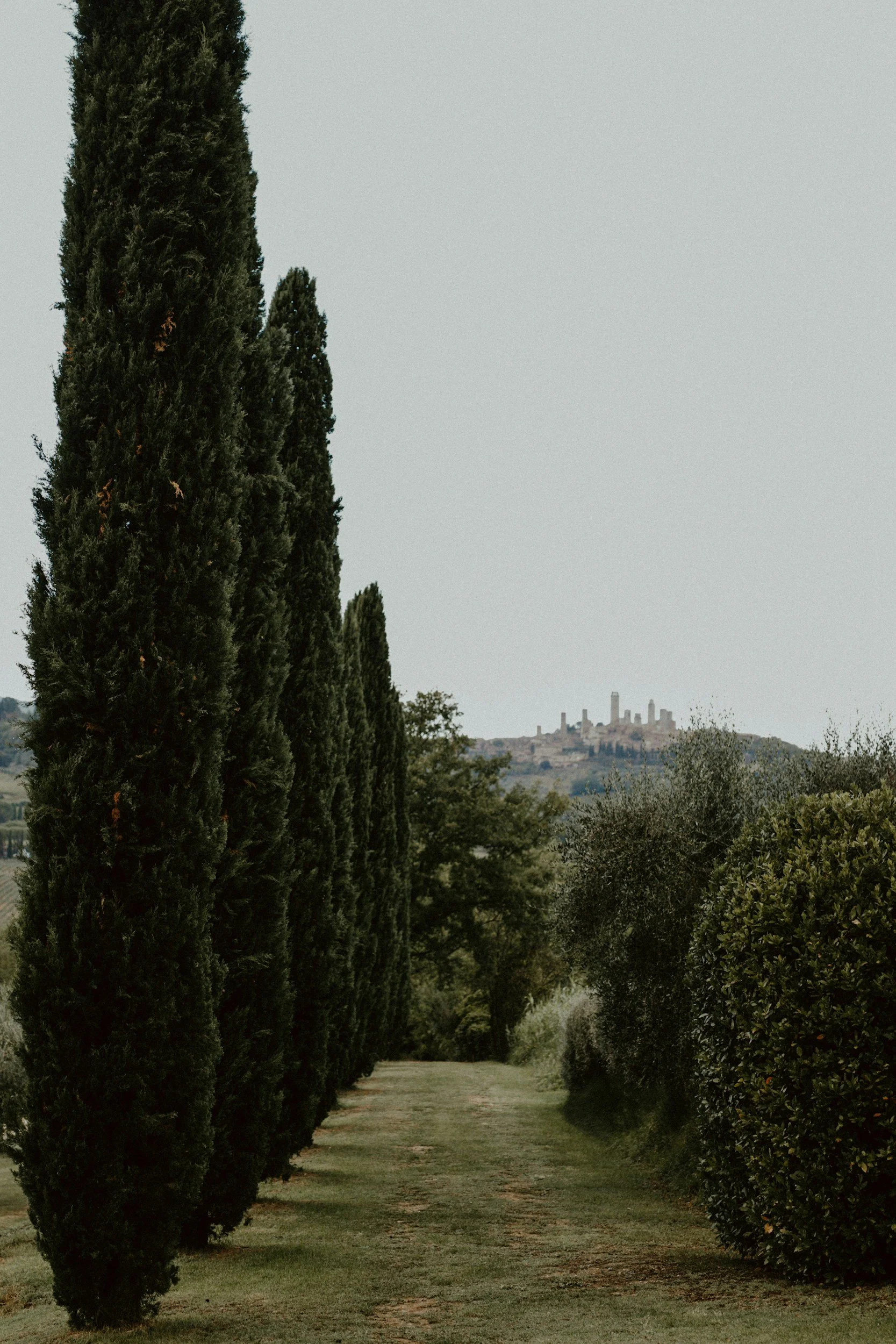 Luxe Italiaanse trouwlocatie met cipressen langs de oprijlaan, een stijlvolle setting voor een exclusieve destination wedding
