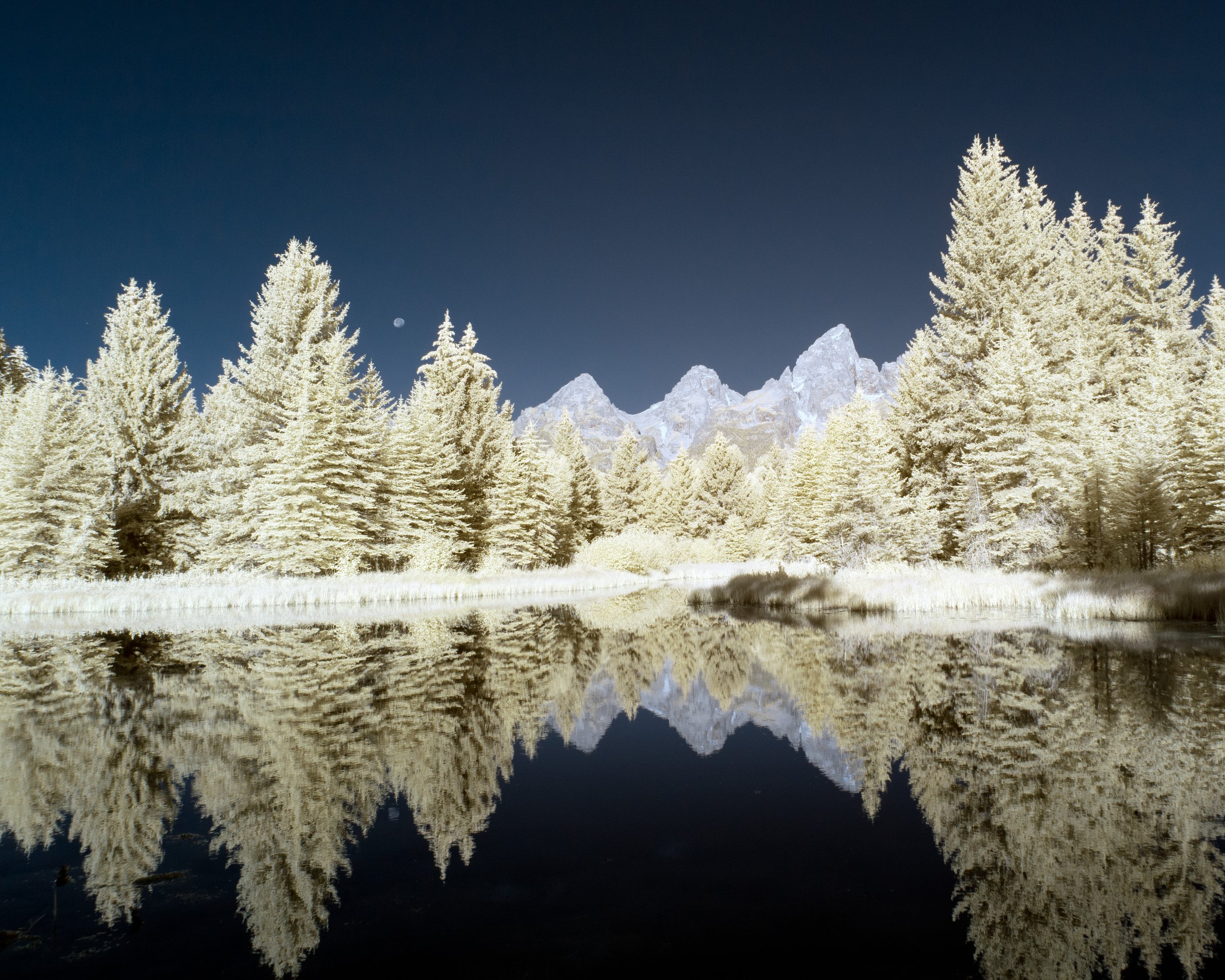 Phill Simpson Schwabacher Landing with Moon in False Color Infrared