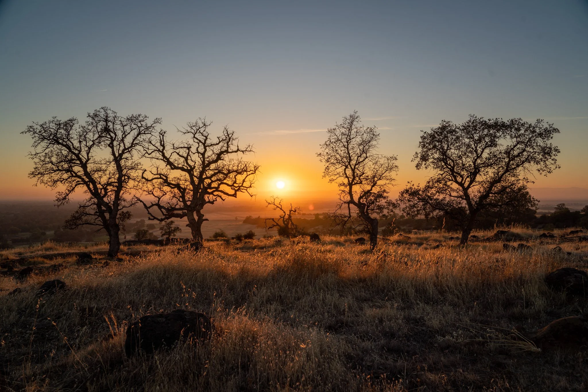 Scott Hill Enchanted Sunset