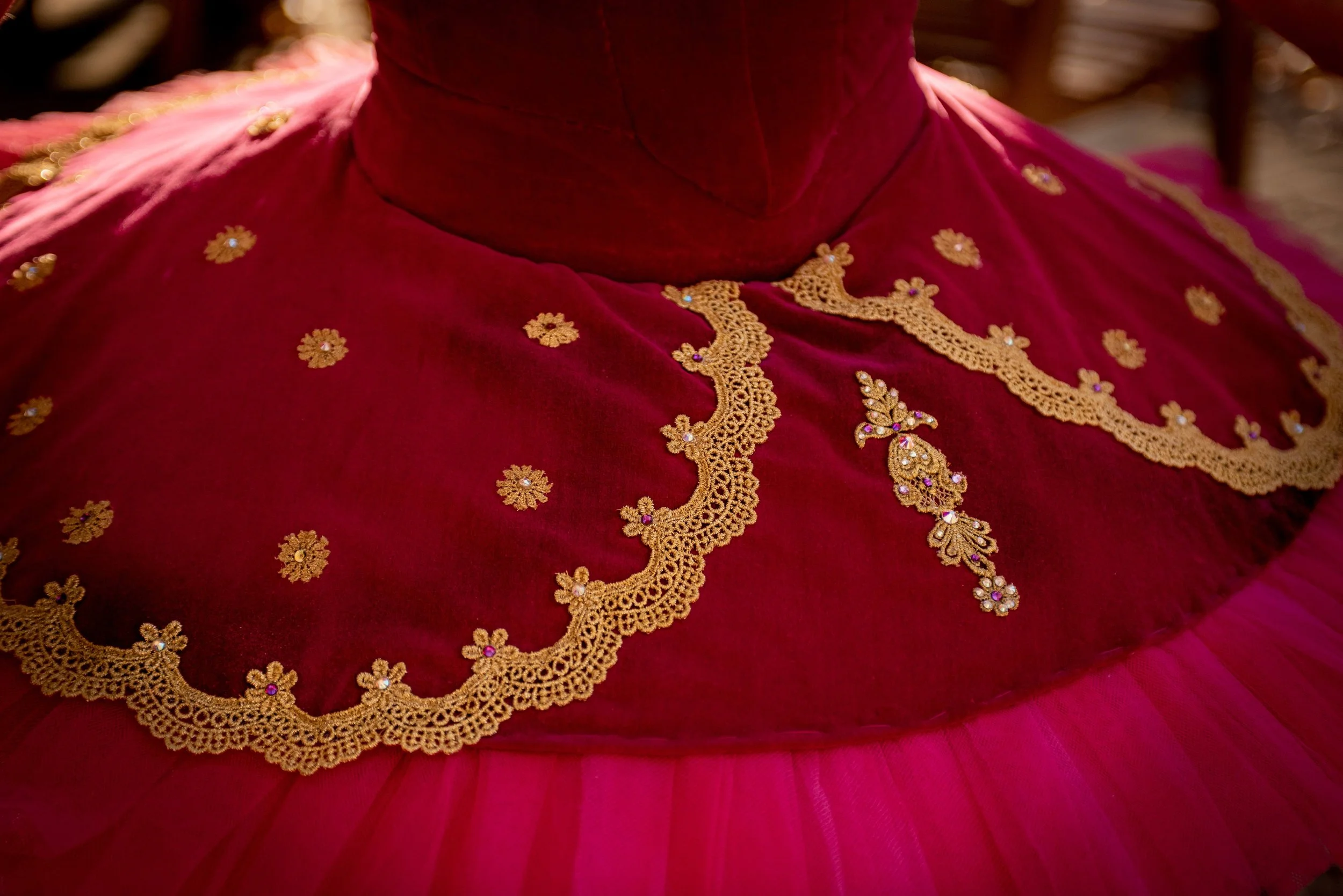 Close-up of a red, velvet tutu with gold embroidery and embellishments.