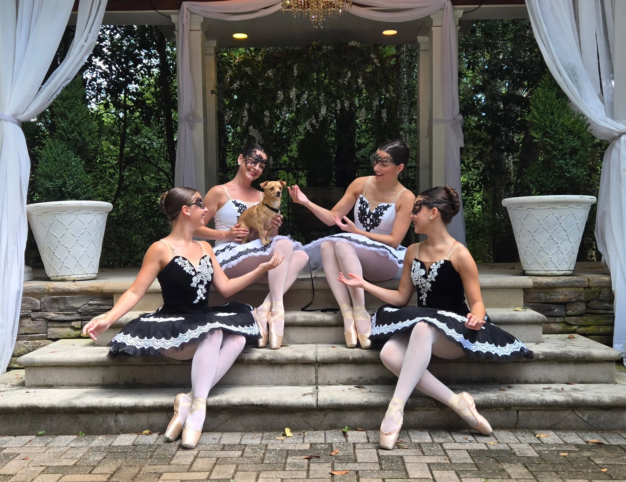 A group of ballet dancers wearing black dresses with lace designs on the bodice and white tutus, sitting on steps in a garden pavilion. One dancer is holding a small tan dog, and they are all wearing lace masks and ballet slippers. The pavilion has white drapes and large planters with greenery.