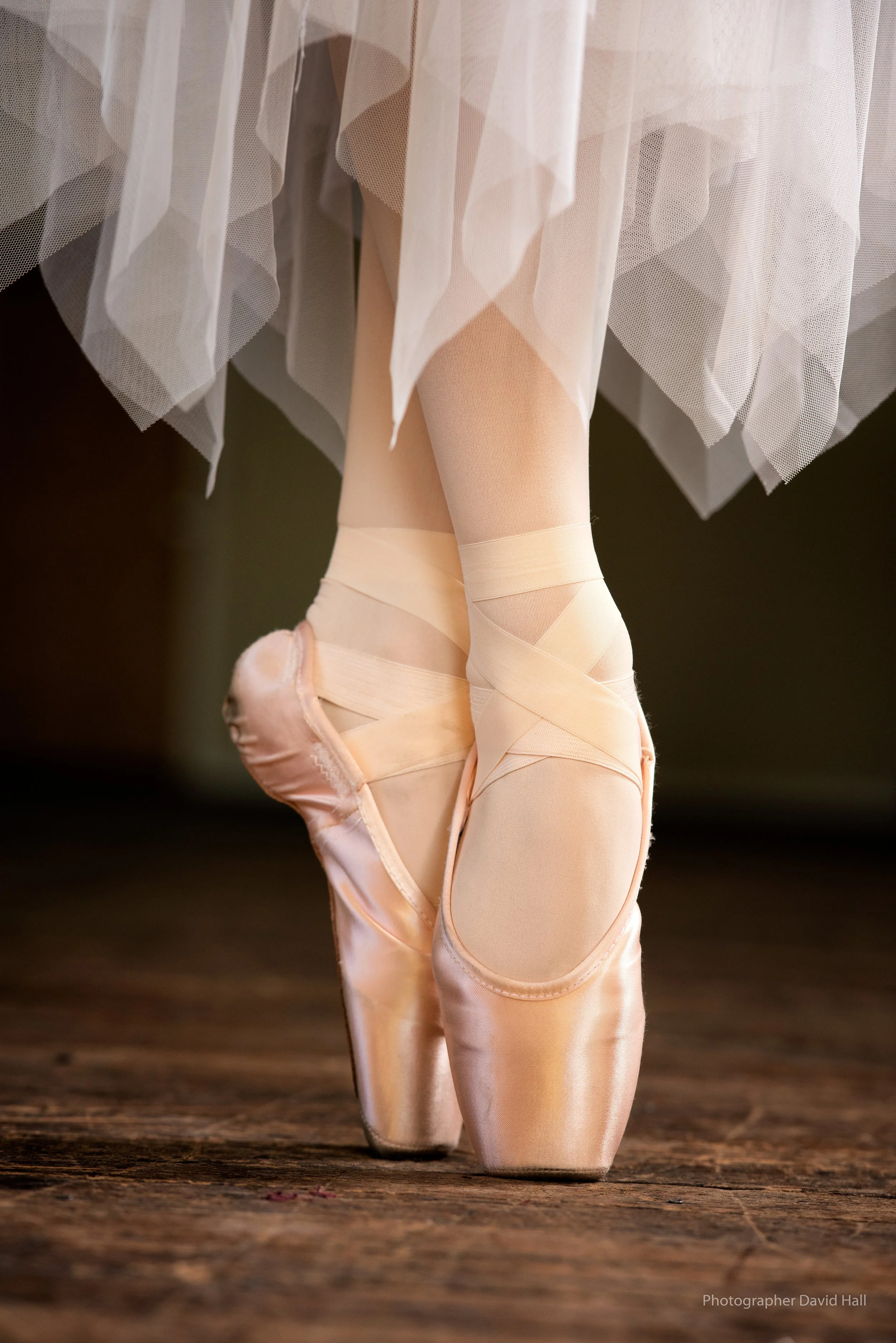 Close-up of a ballet dancer's feet in pink pointe shoes and tights, with the dancer wearing a tutu visible above the shoes, on a wooden floor.