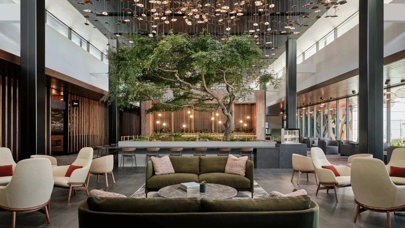 Interior of a modern hotel lobby with a large indoor tree, seating area with sofas and armchairs, and decorative ceiling lighting.