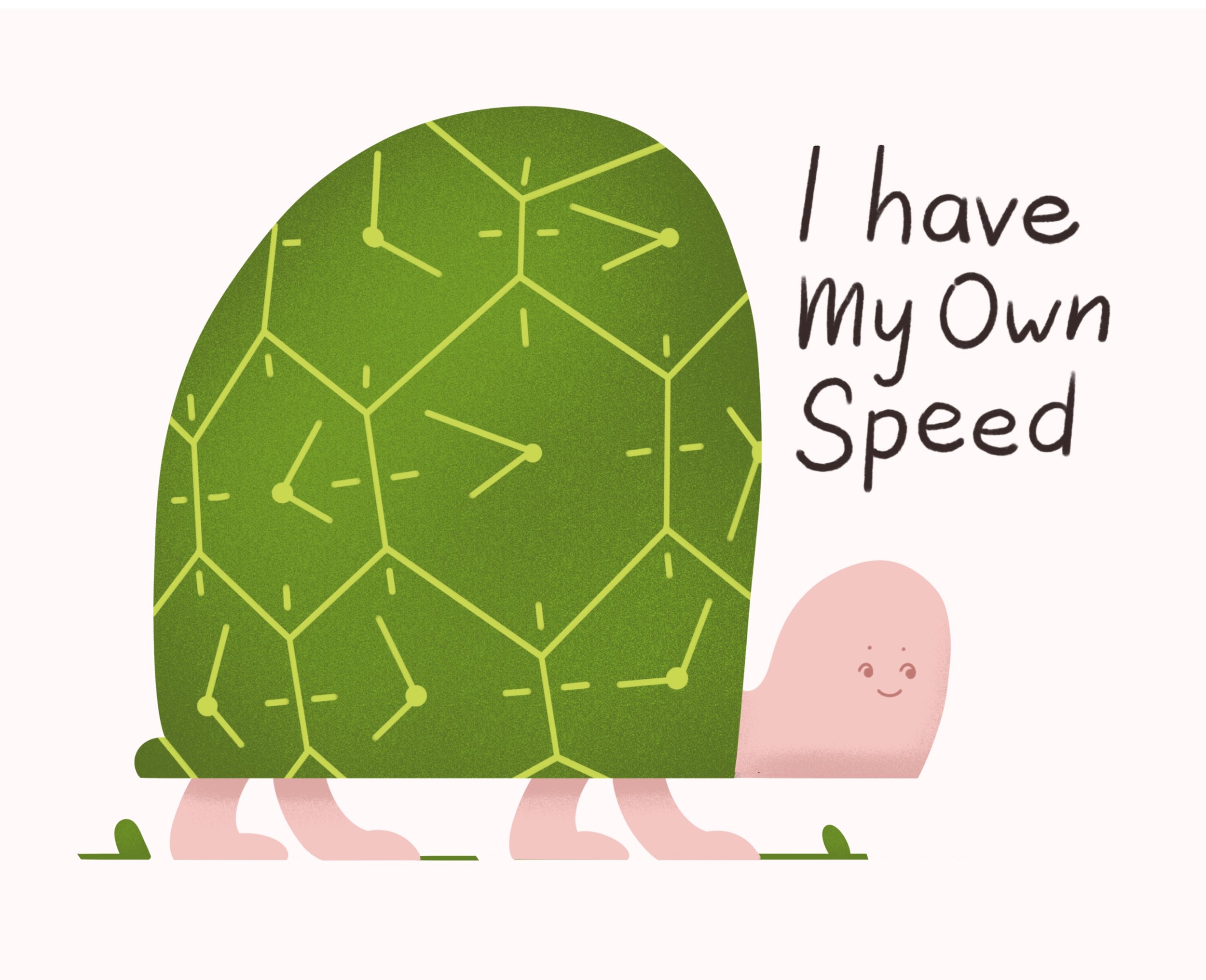 turtle.jpg