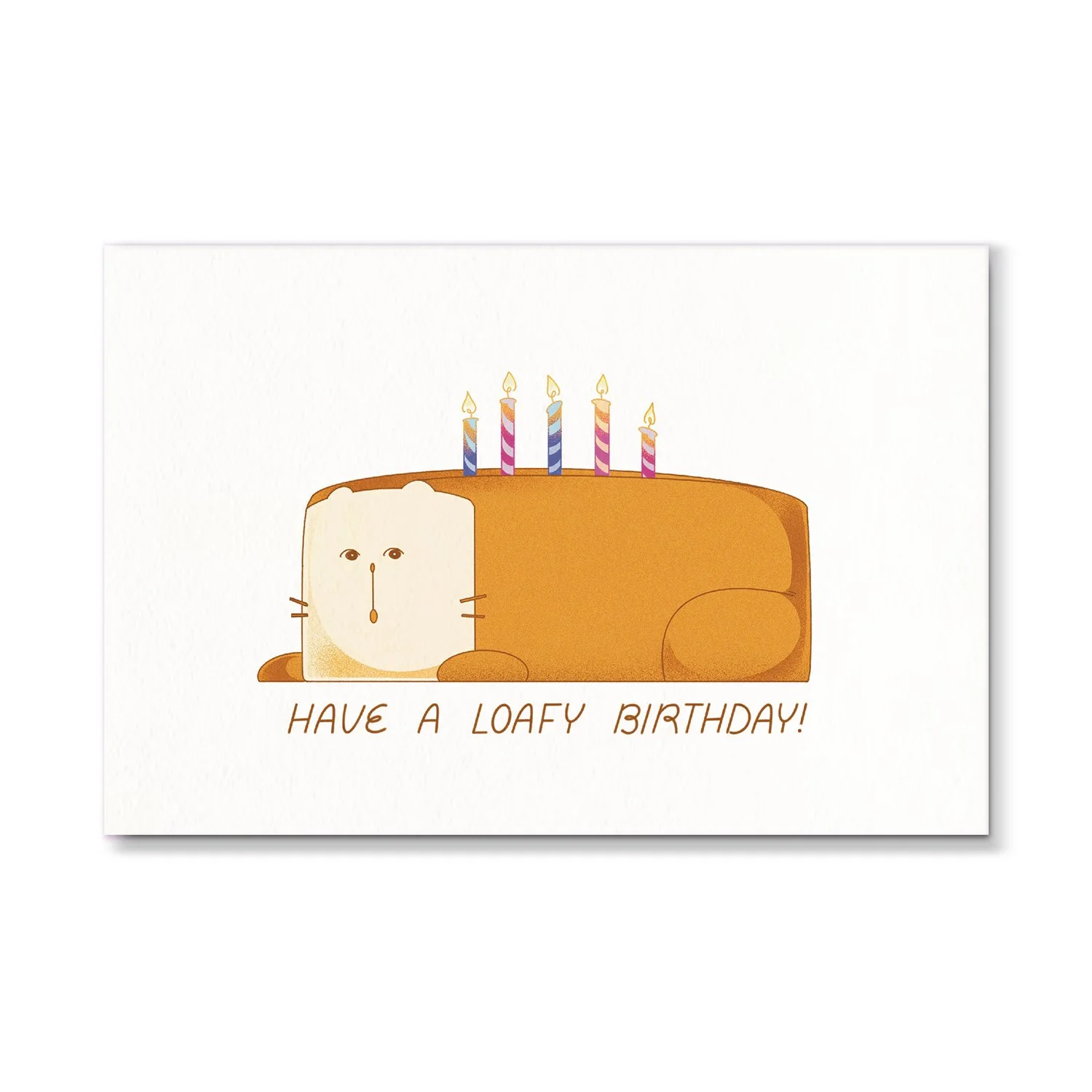 cat bday card.jpg