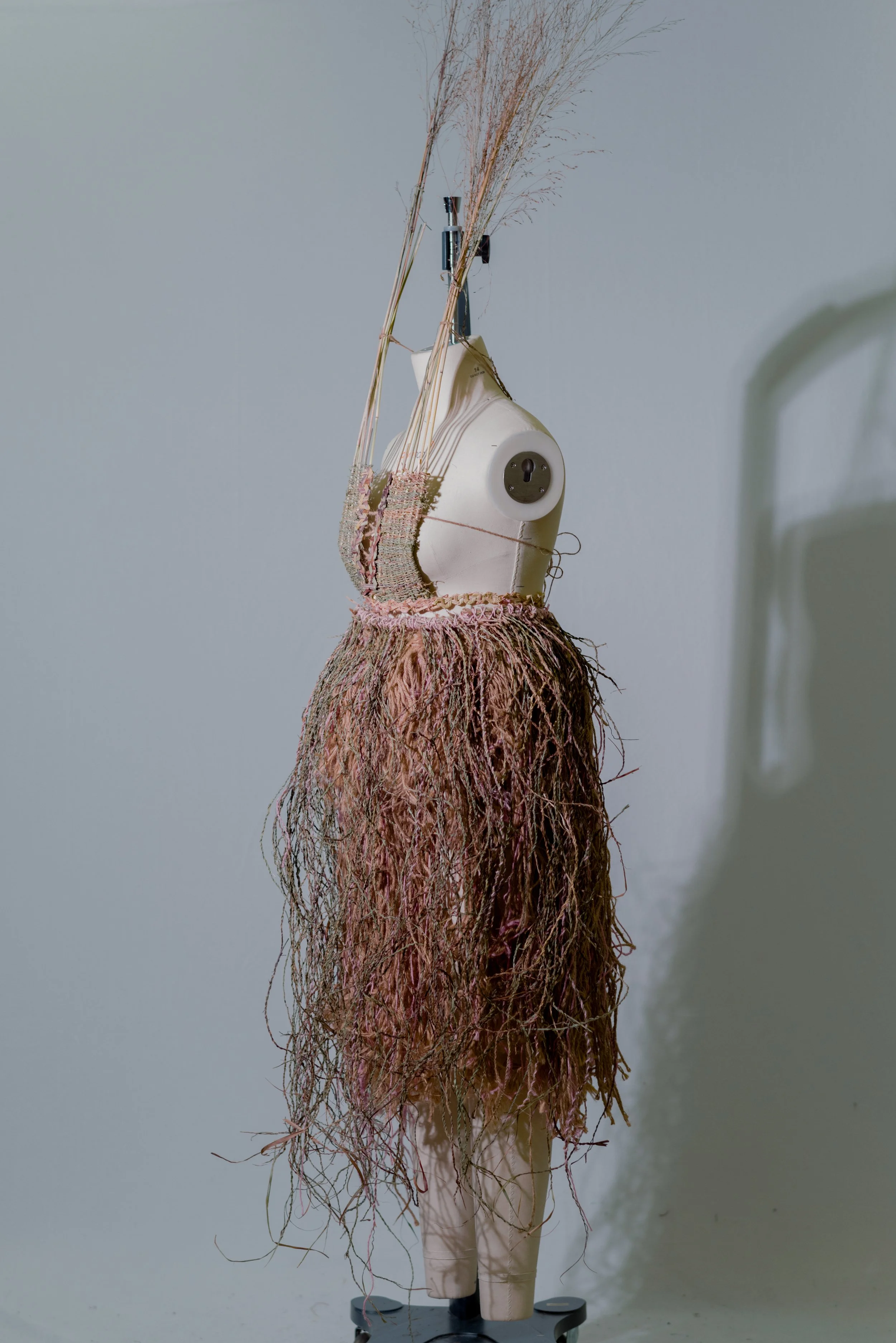 Gone to seed-4-2.jpg