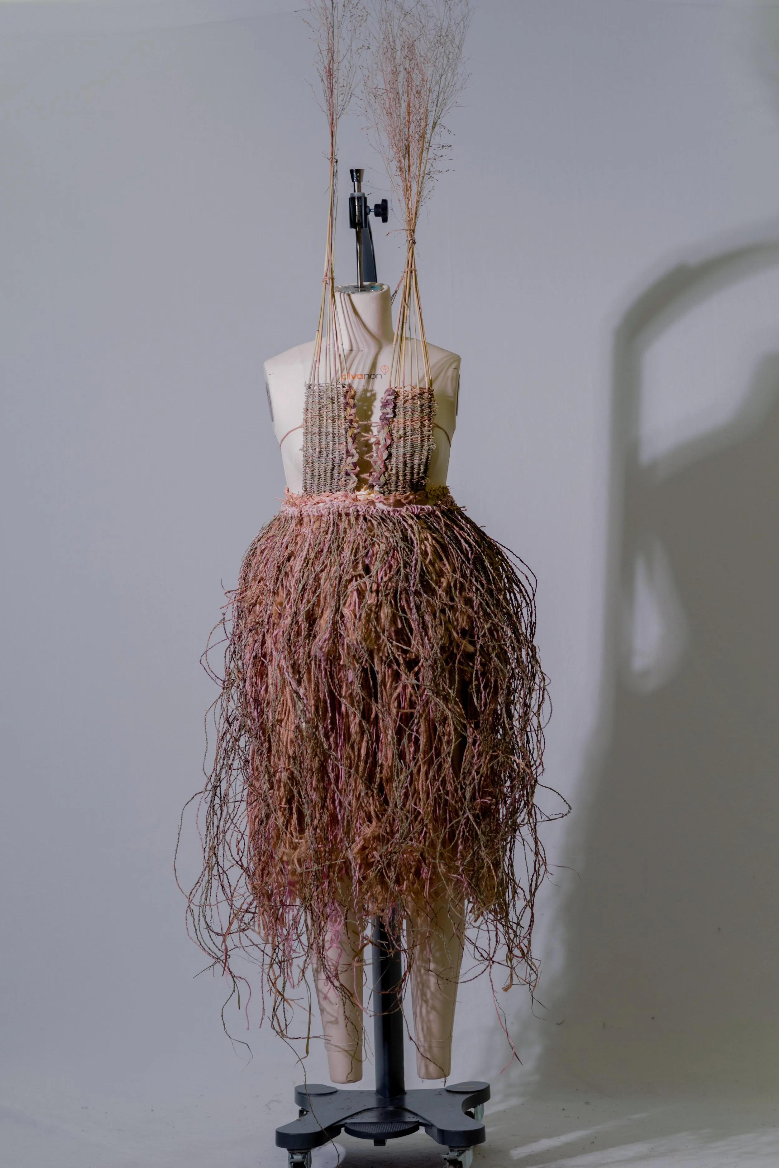 Gone to seed-3.jpg