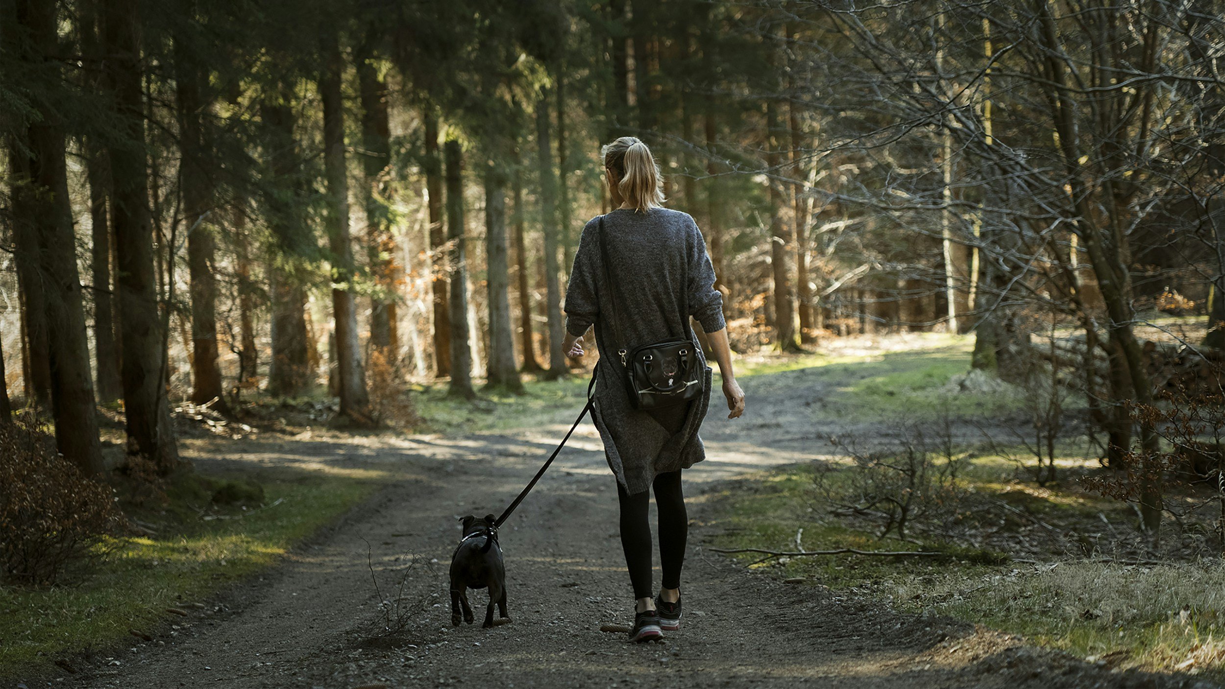 A woman walking a black dog on a leash through a wooded forest trail during daytime.