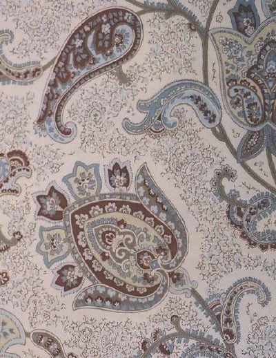 Braemore/Paisley Deail/Printed Fabric