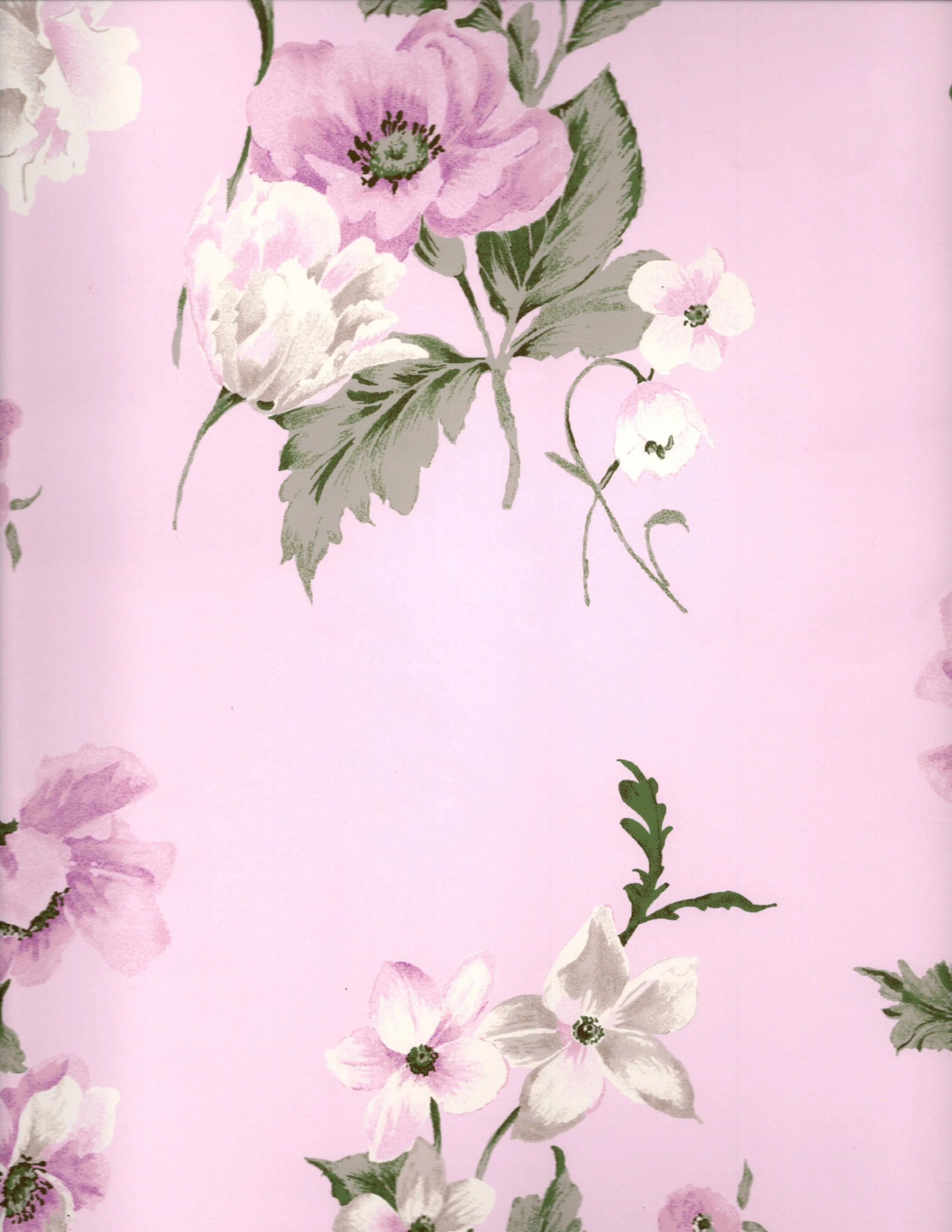 Carole Hochman/Anemone, Poppy & More Floral