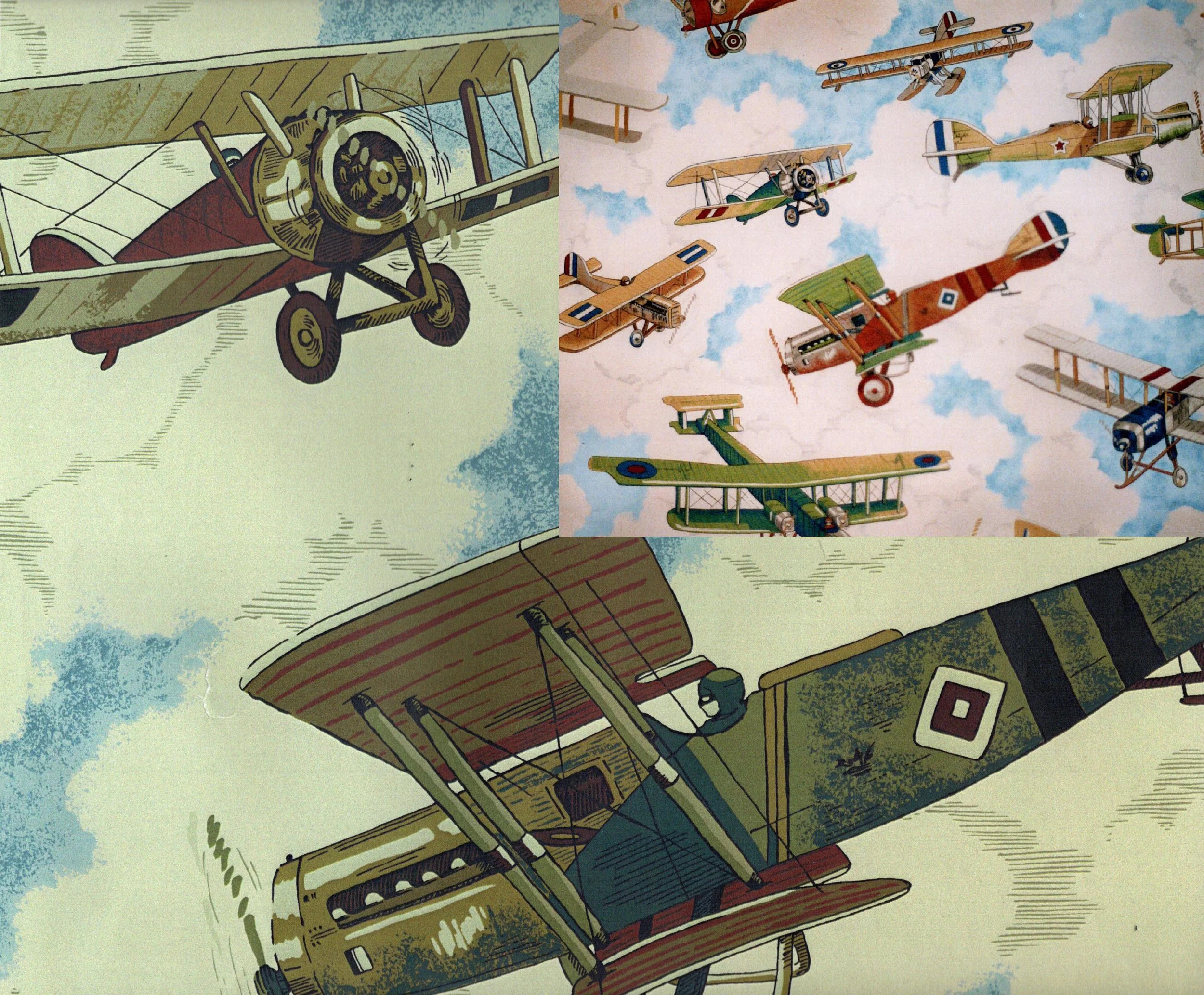 Braemore/Biplanes/Painted Sample/Printed Fabric