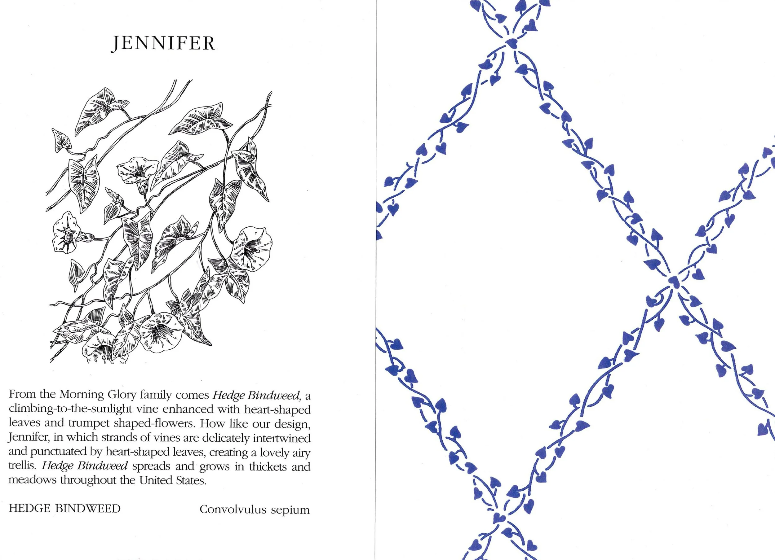 Hinson & Co/Illustrations by Barbara Teague for Foliage Wallpaper Book