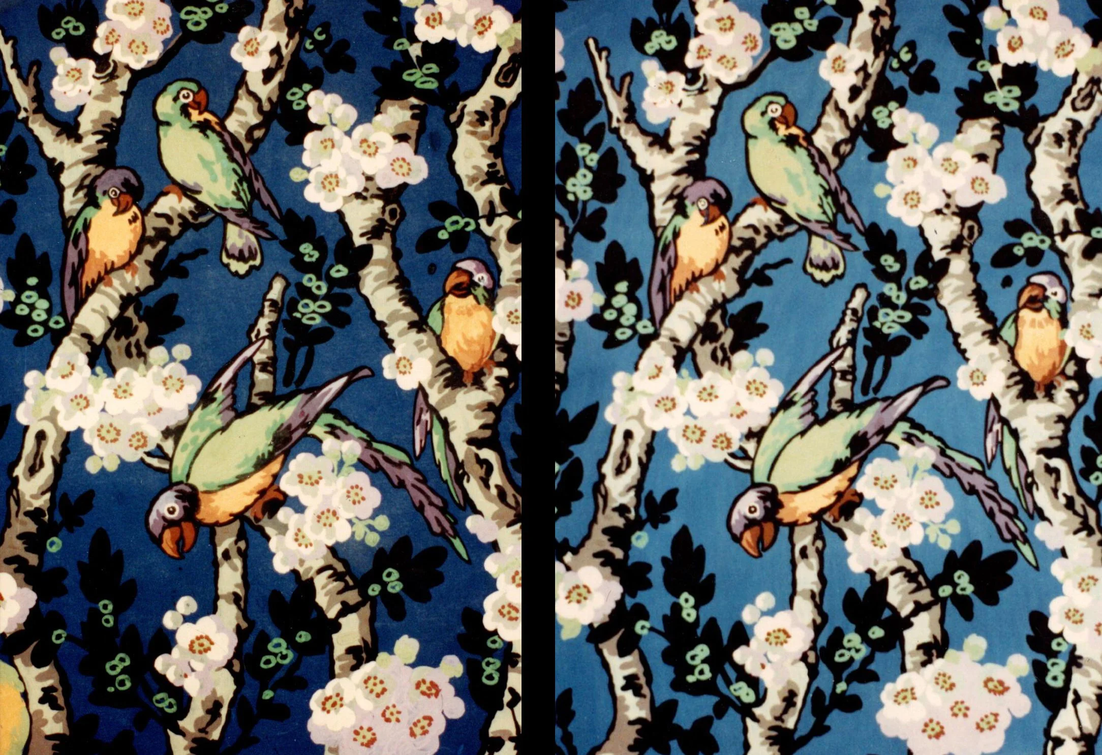 Design Library/Original Parrots & Barbara's Reproduction of Parrots for Abrams/Left & Right/Wrapping Paper Book