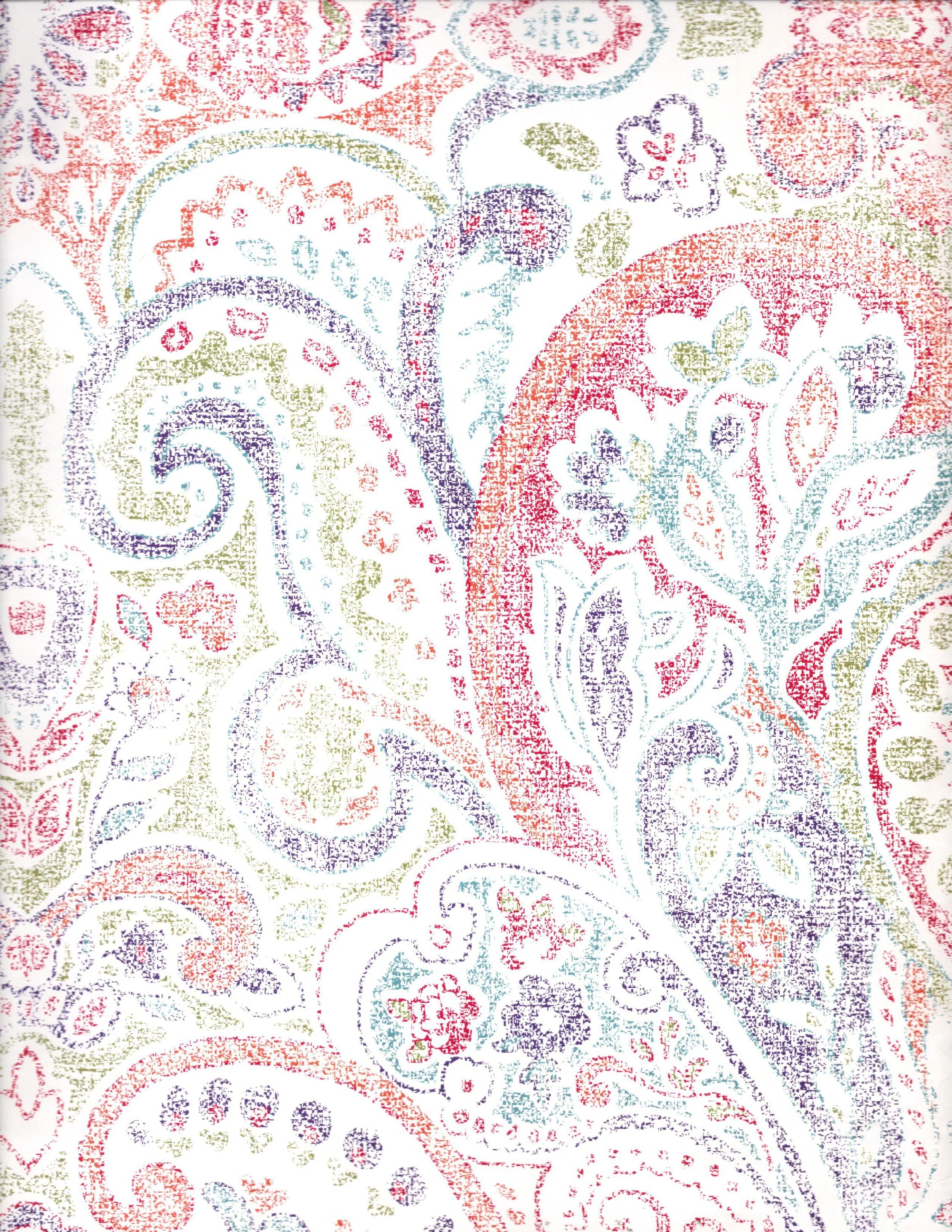 Carole Hochman/Textured Paisley