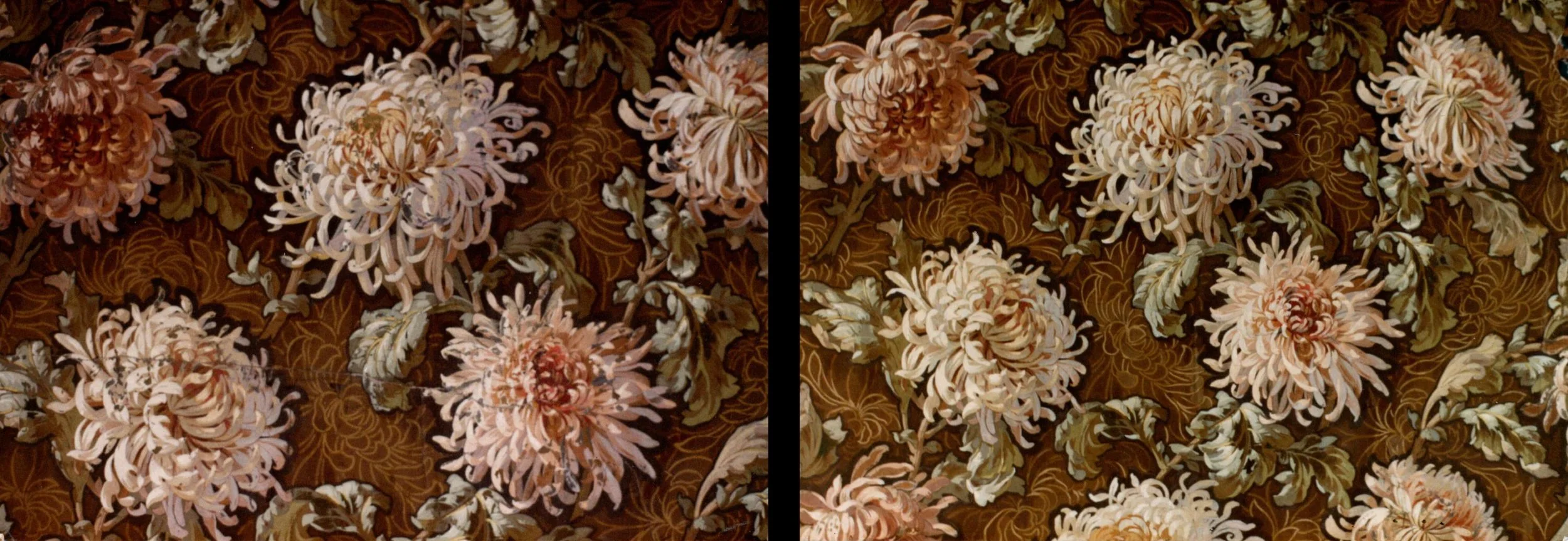 Design Library/Restoration of Spider Mums for Abrams/Before & After/Wrapping Paper Book